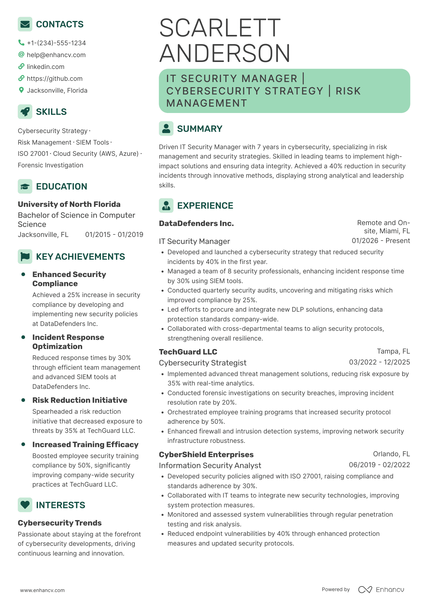 IT Security Manager Resume Example
