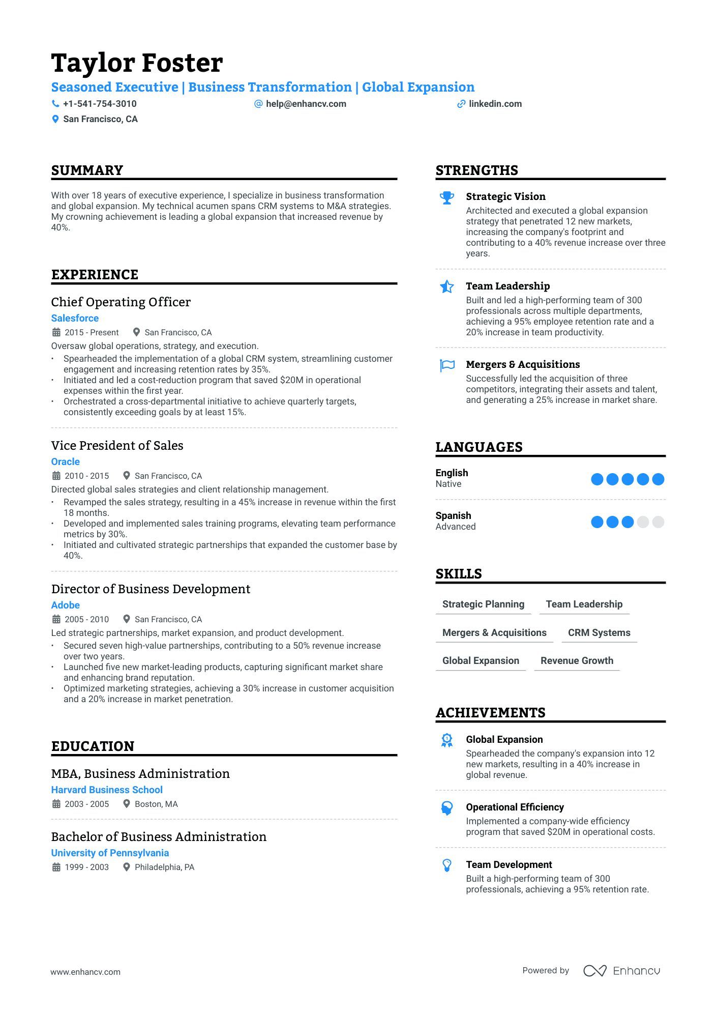 Chief Executive Officer Resume Example