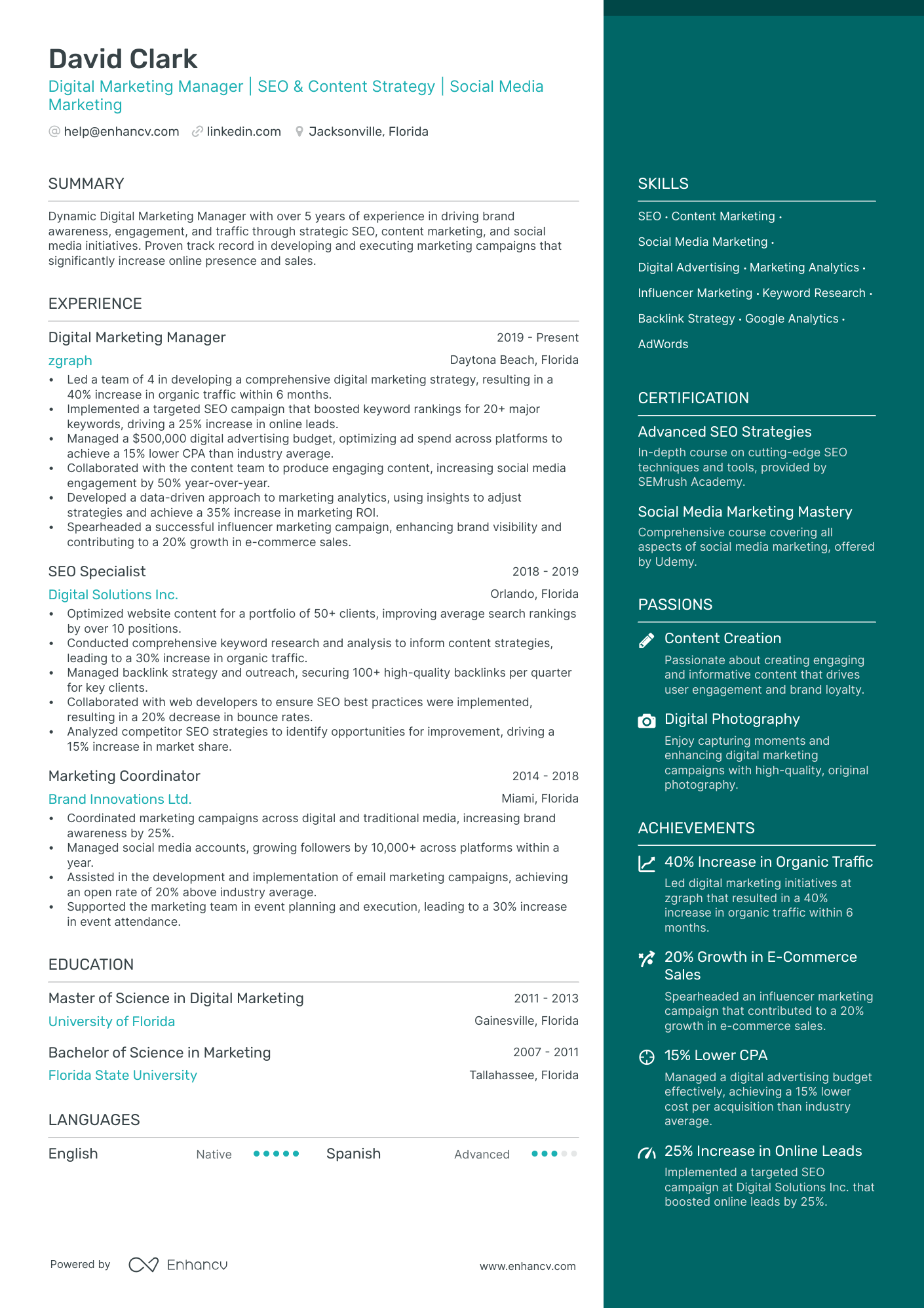 Digital Marketing Executive Resume Example