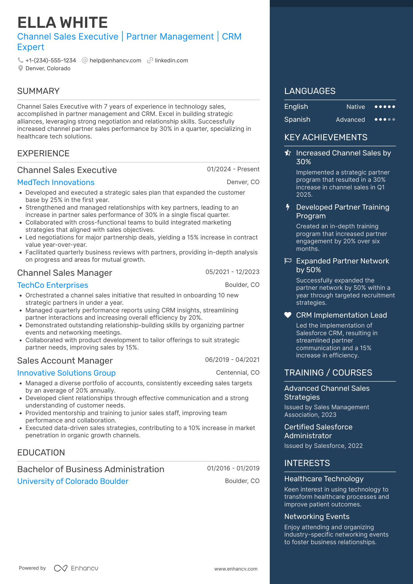 Channel Sales Executive Resume Example