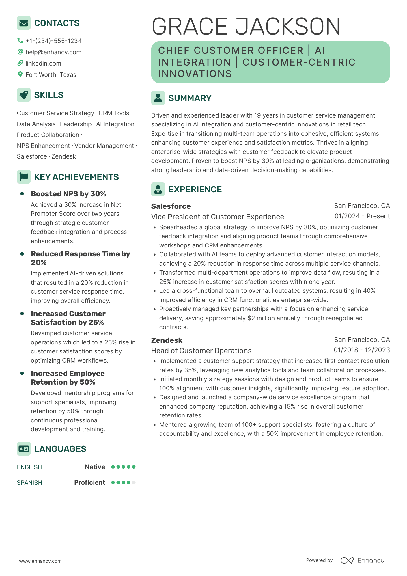 Chief Customer Service Officer Resume Example