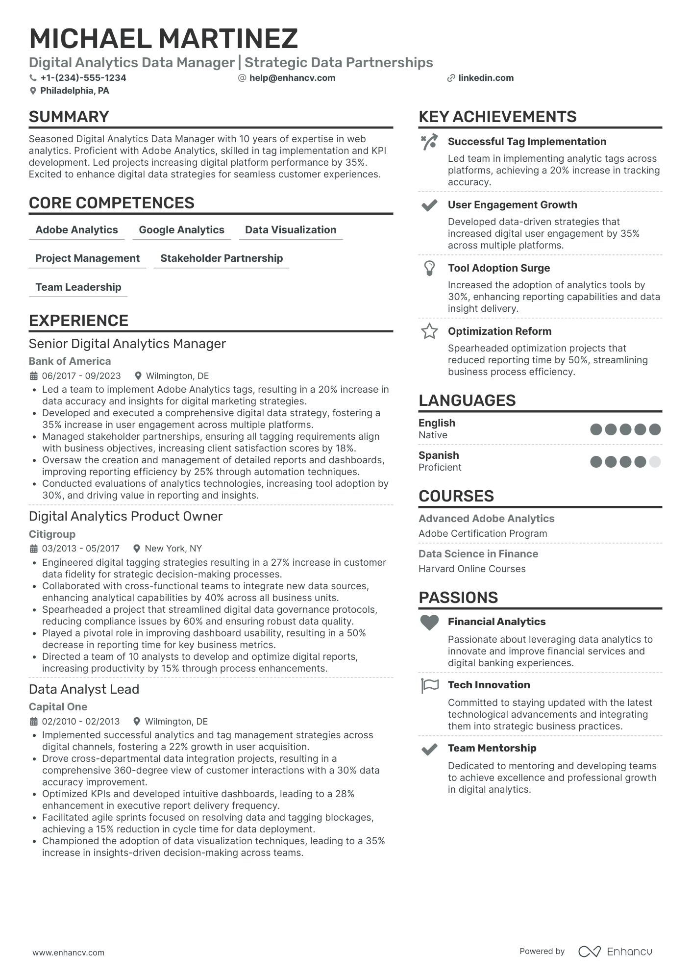 Chief Digital Data Officer Resume Example