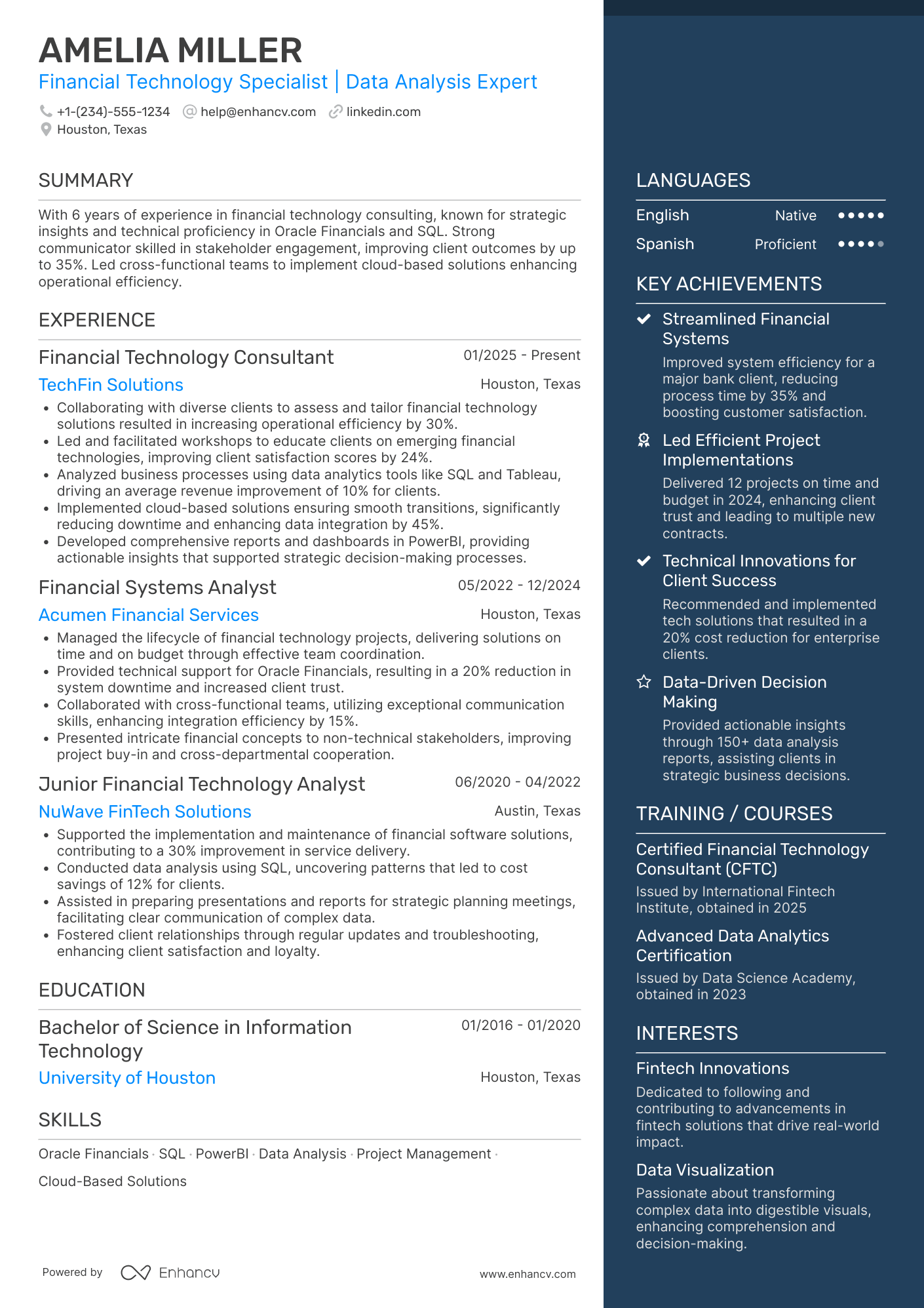Financial Technology Consultant Resume Example