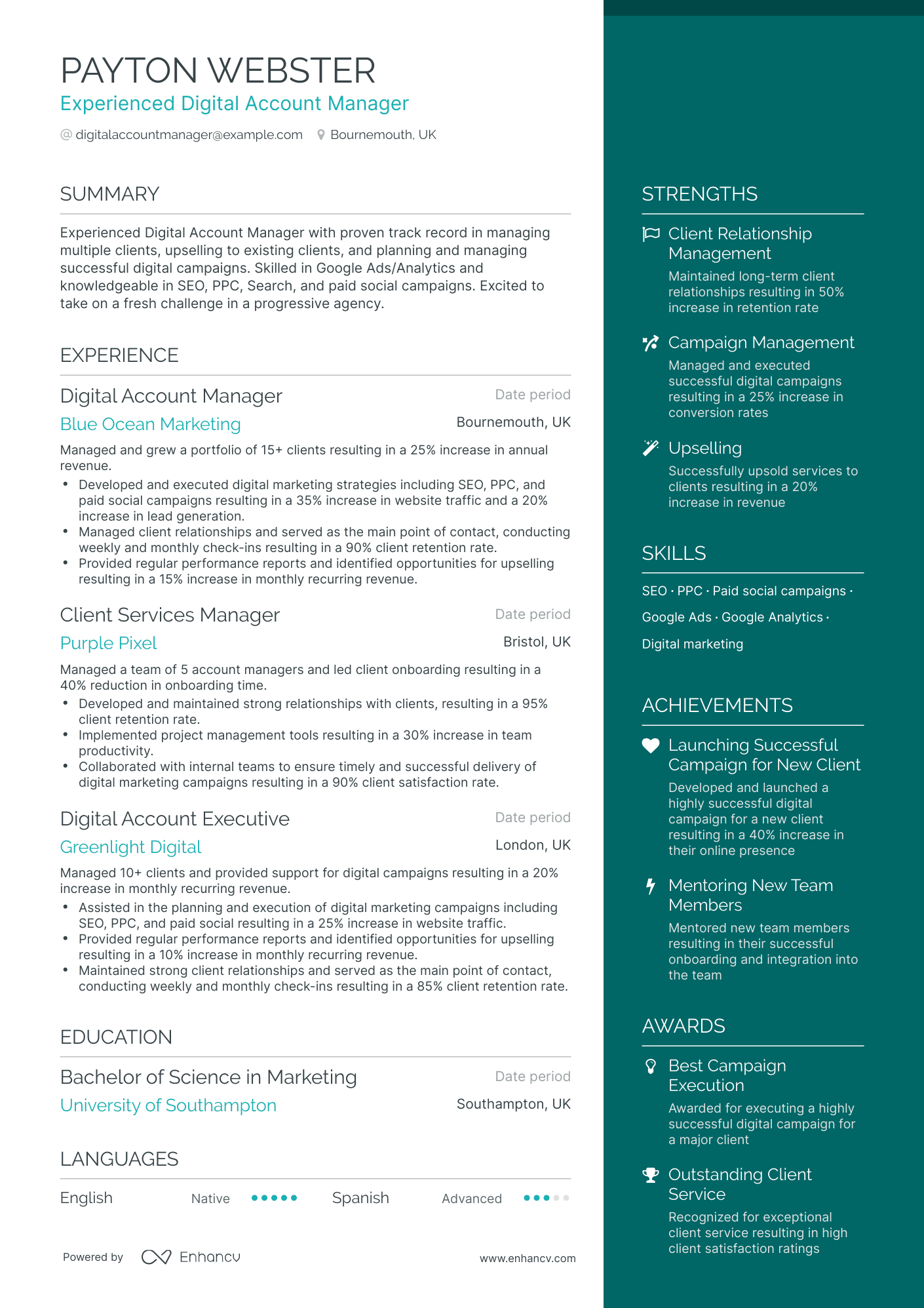 Digital Account Manager Resume Example