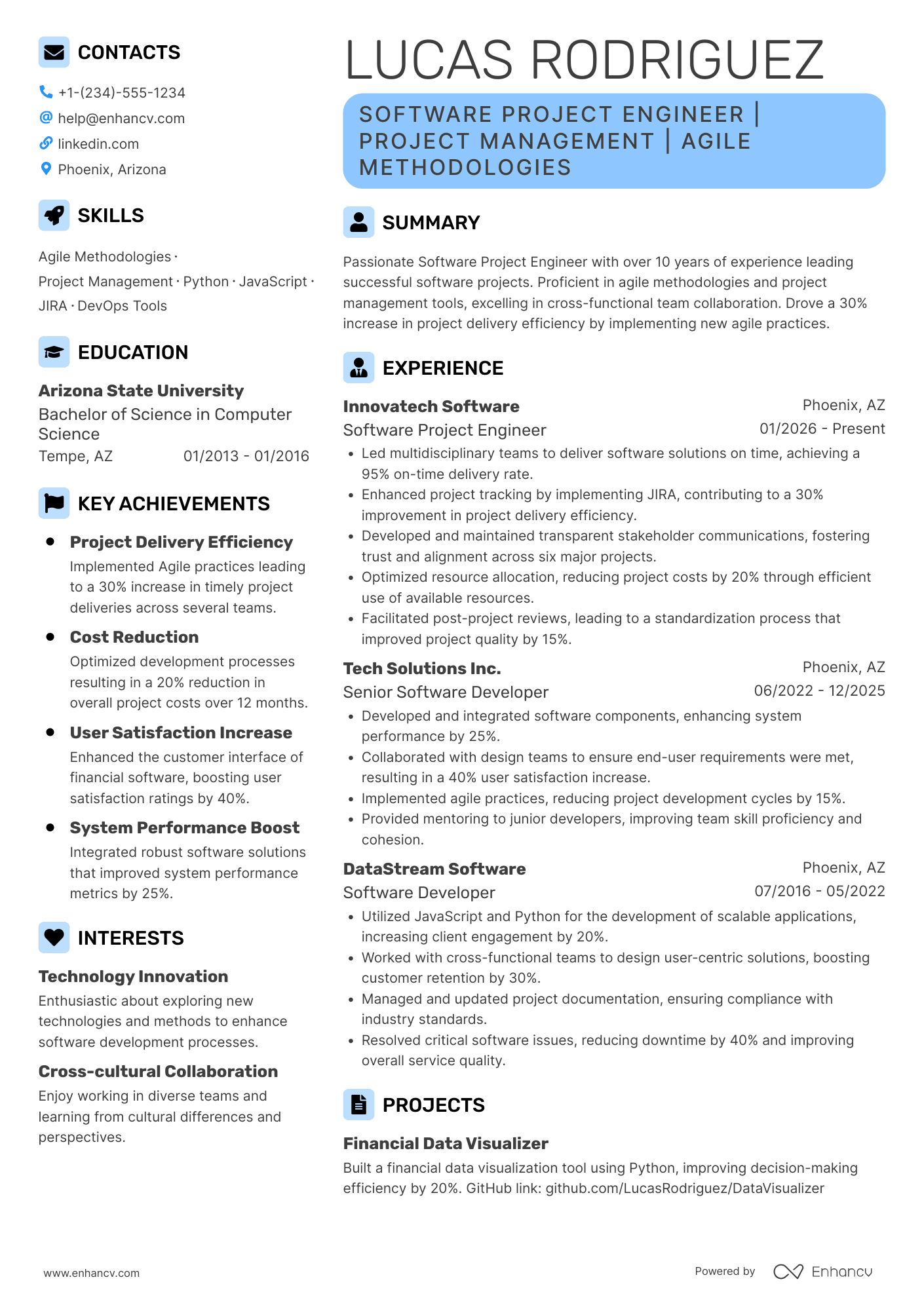 Software Project Engineer Resume Example