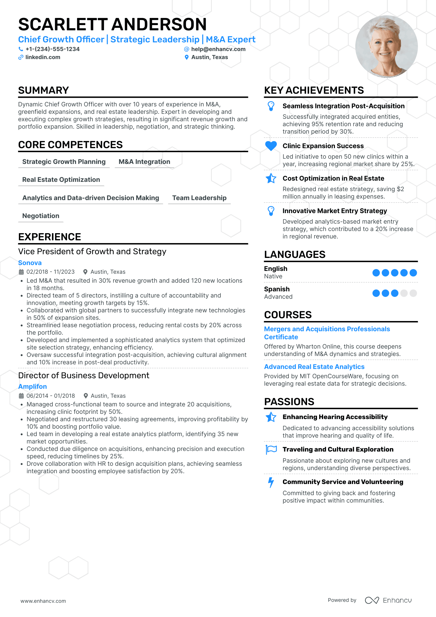 Chief Growth Officer Resume Example
