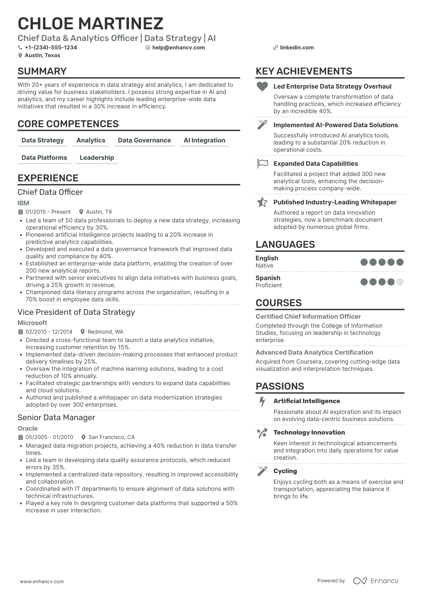 Chief Data Analytics Officer Resume Example