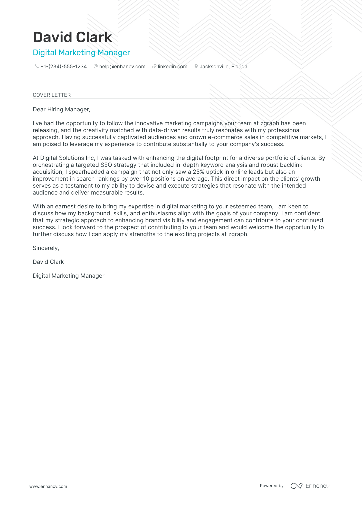 Digital Marketing Executive Resume Example
