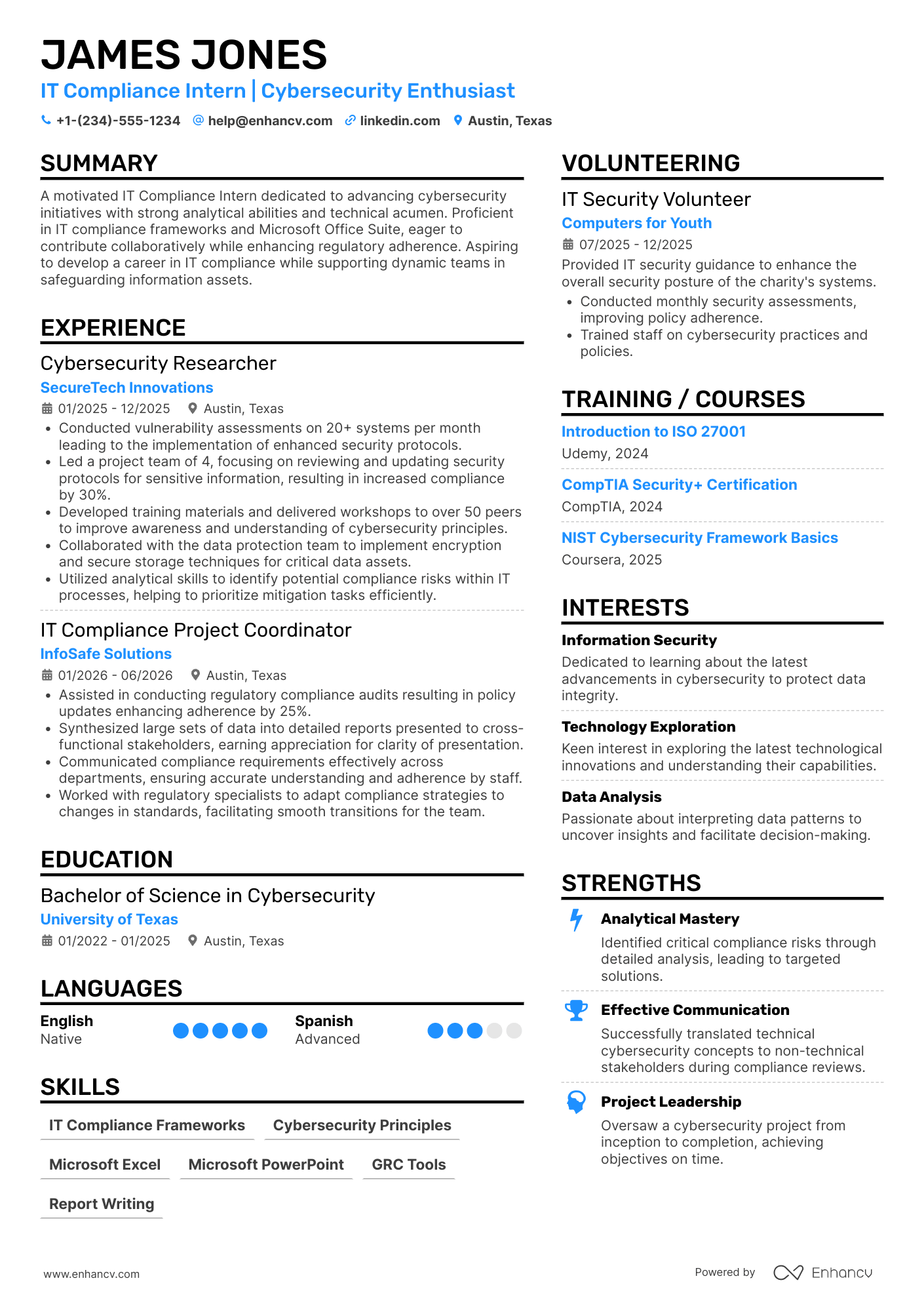 IT Compliance Intern Resume Example