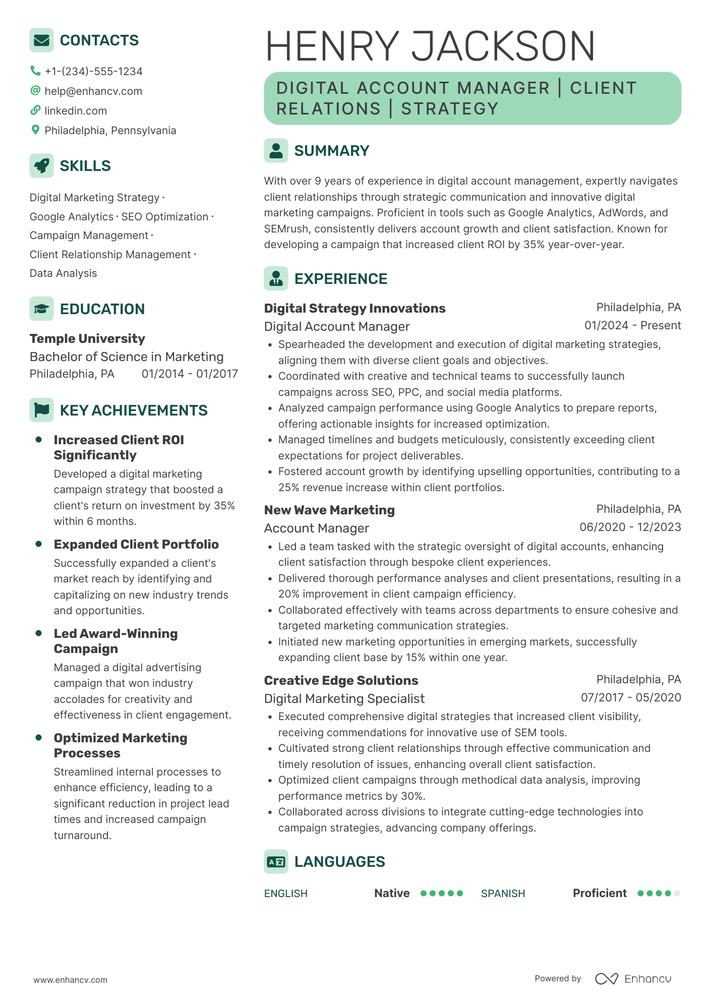 Digital Account Manager Resume Example