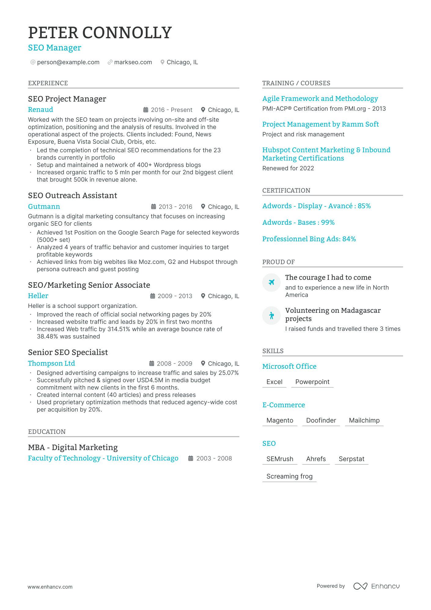 SEO Manager Resume Example