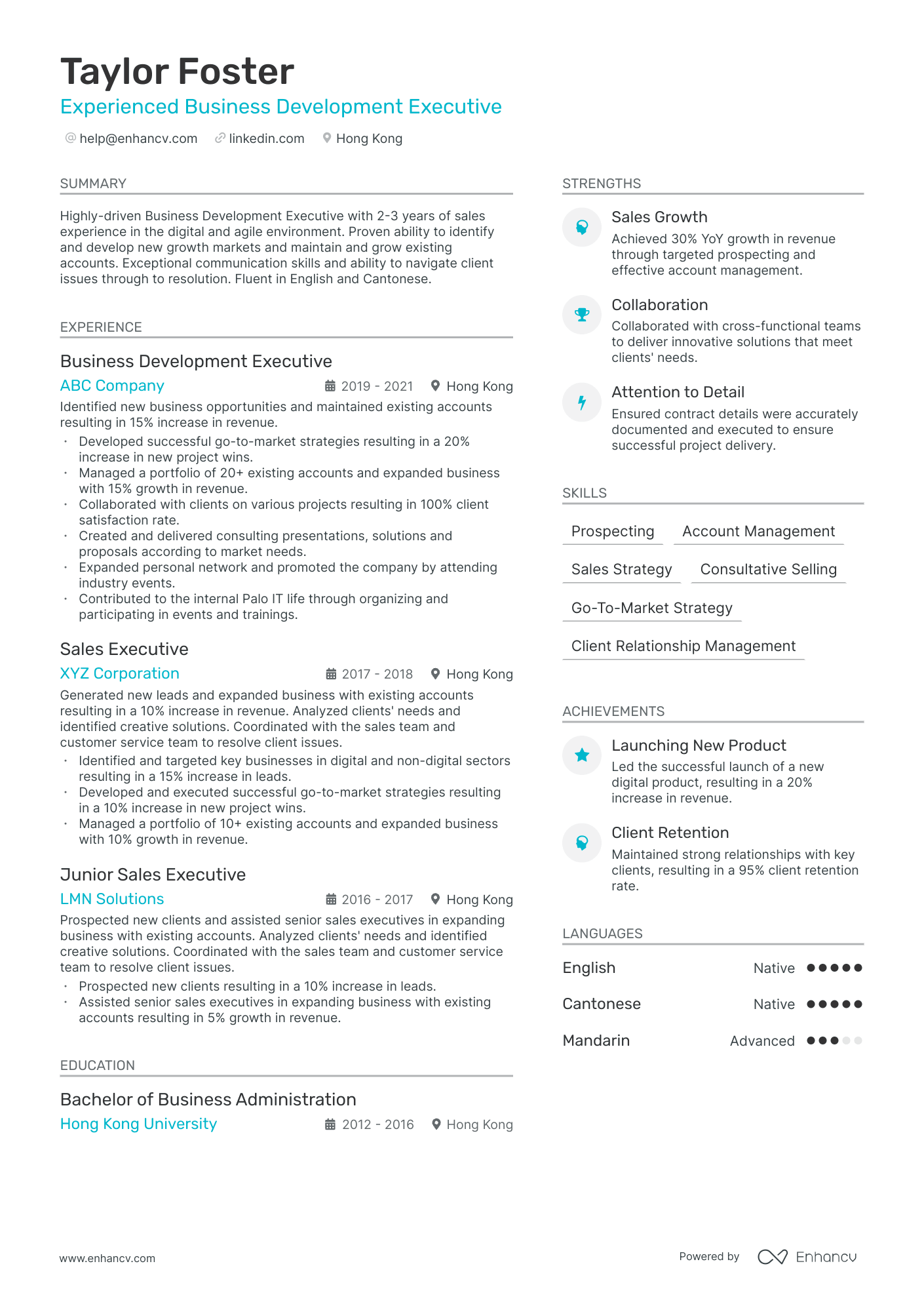 VP Business Development Resume Example