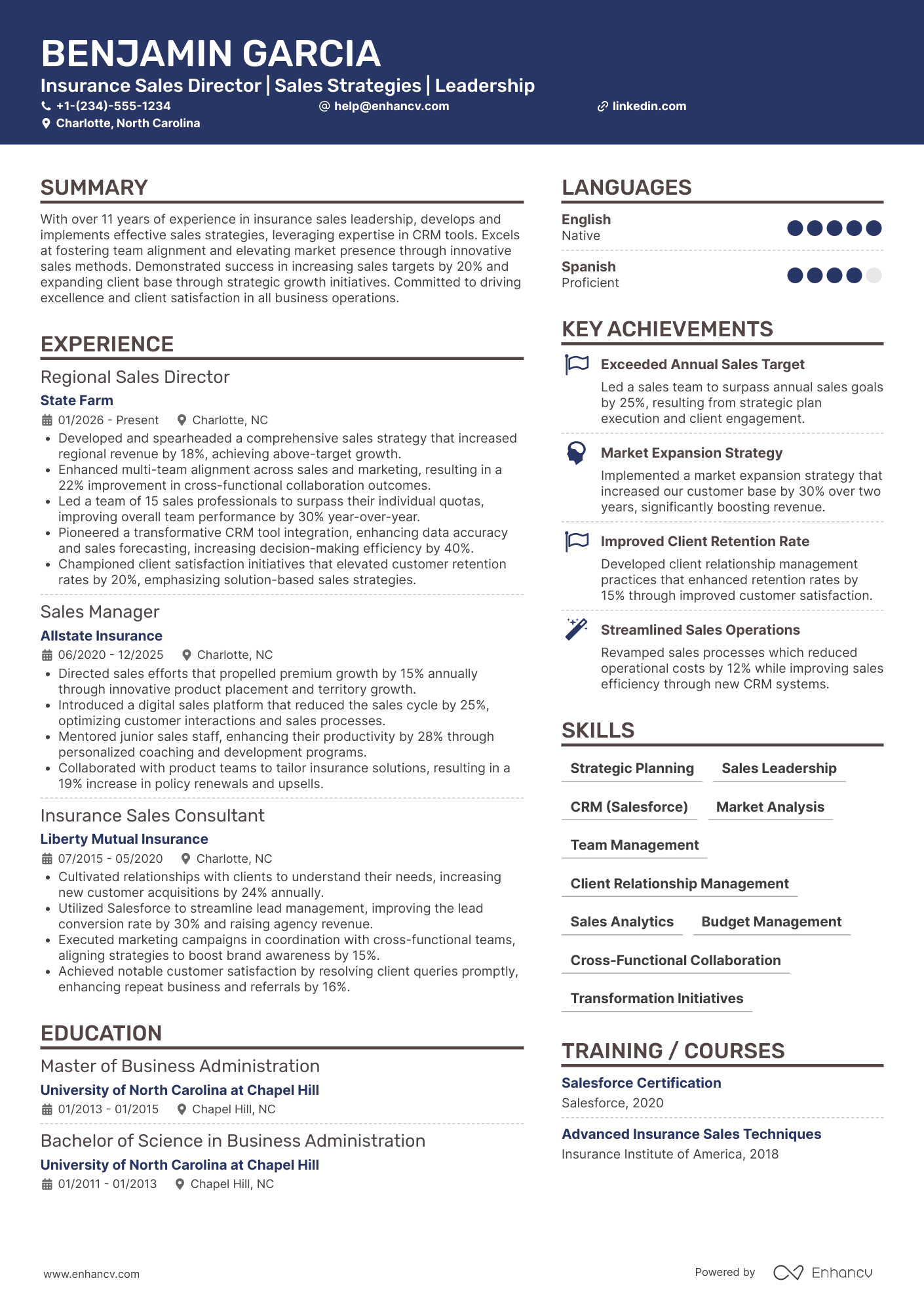 Insurance Sales Director Resume Example