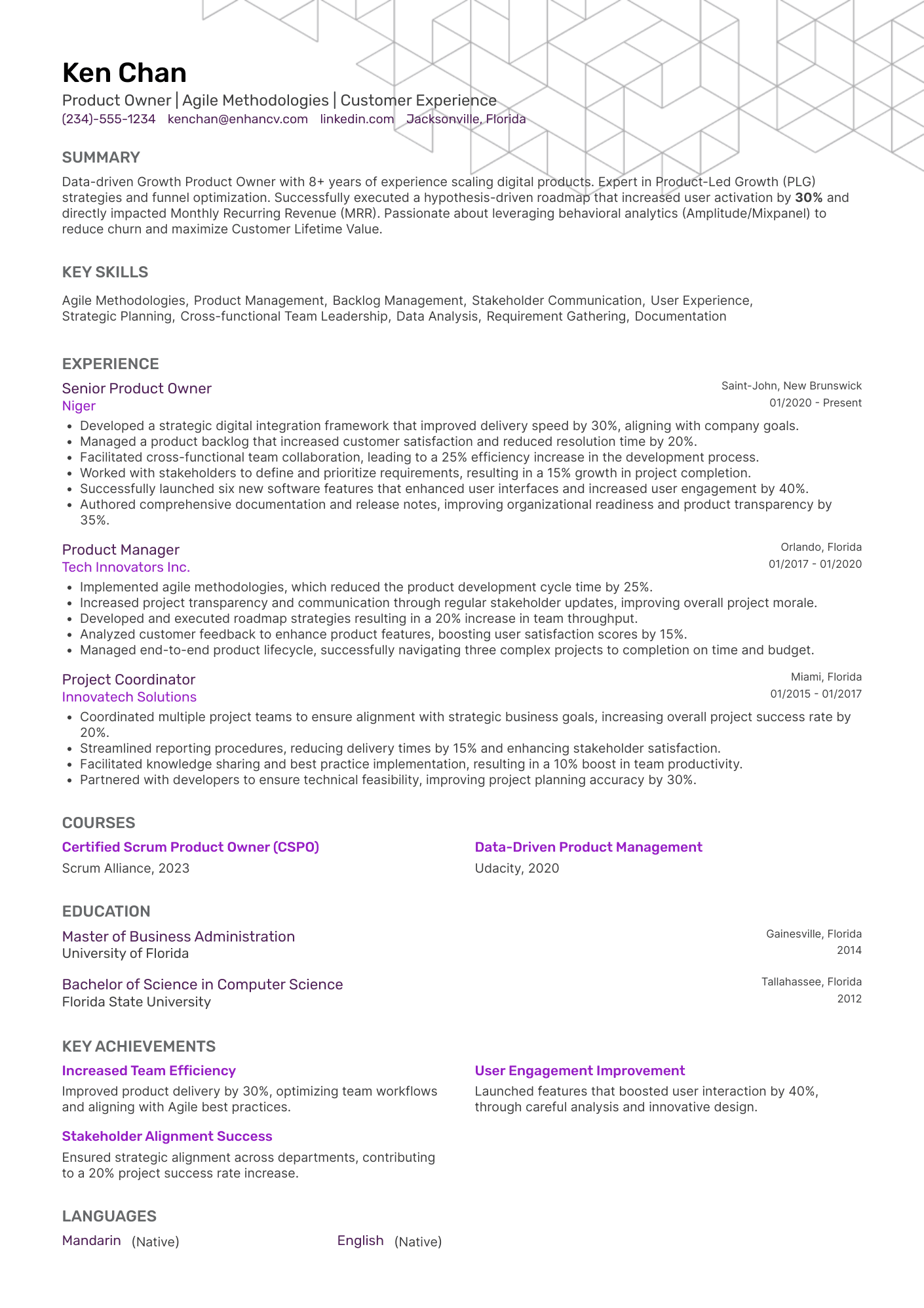 Growth Product Owner Resume Example