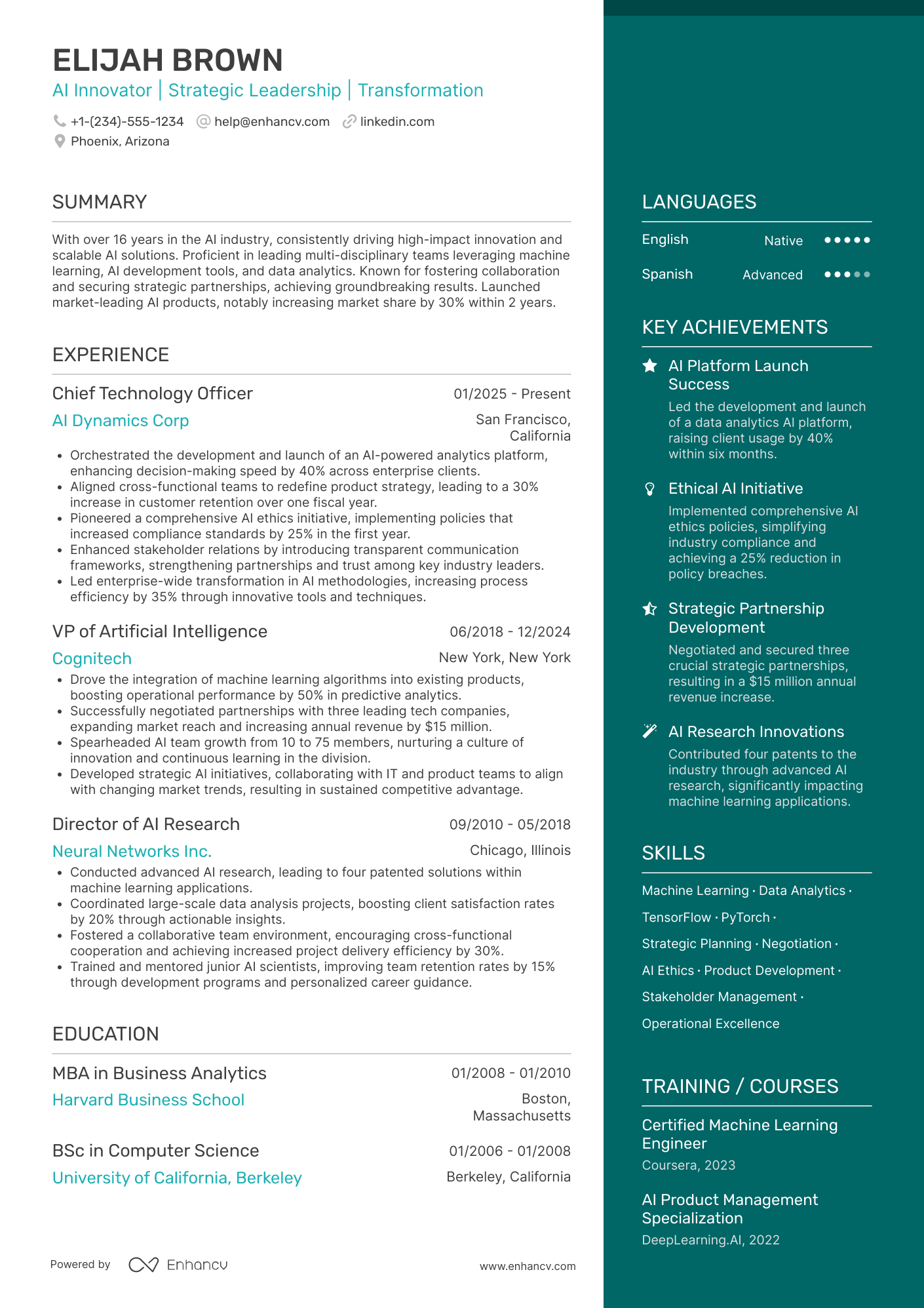 AI CEO Resume Example