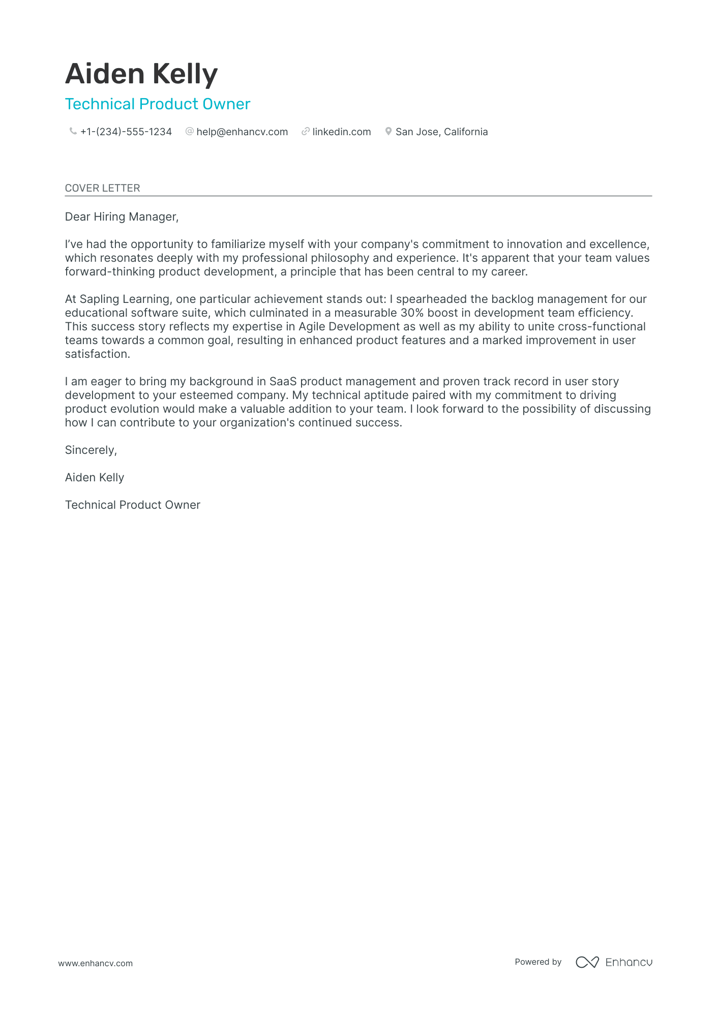 Technical Product Owner Resume Example