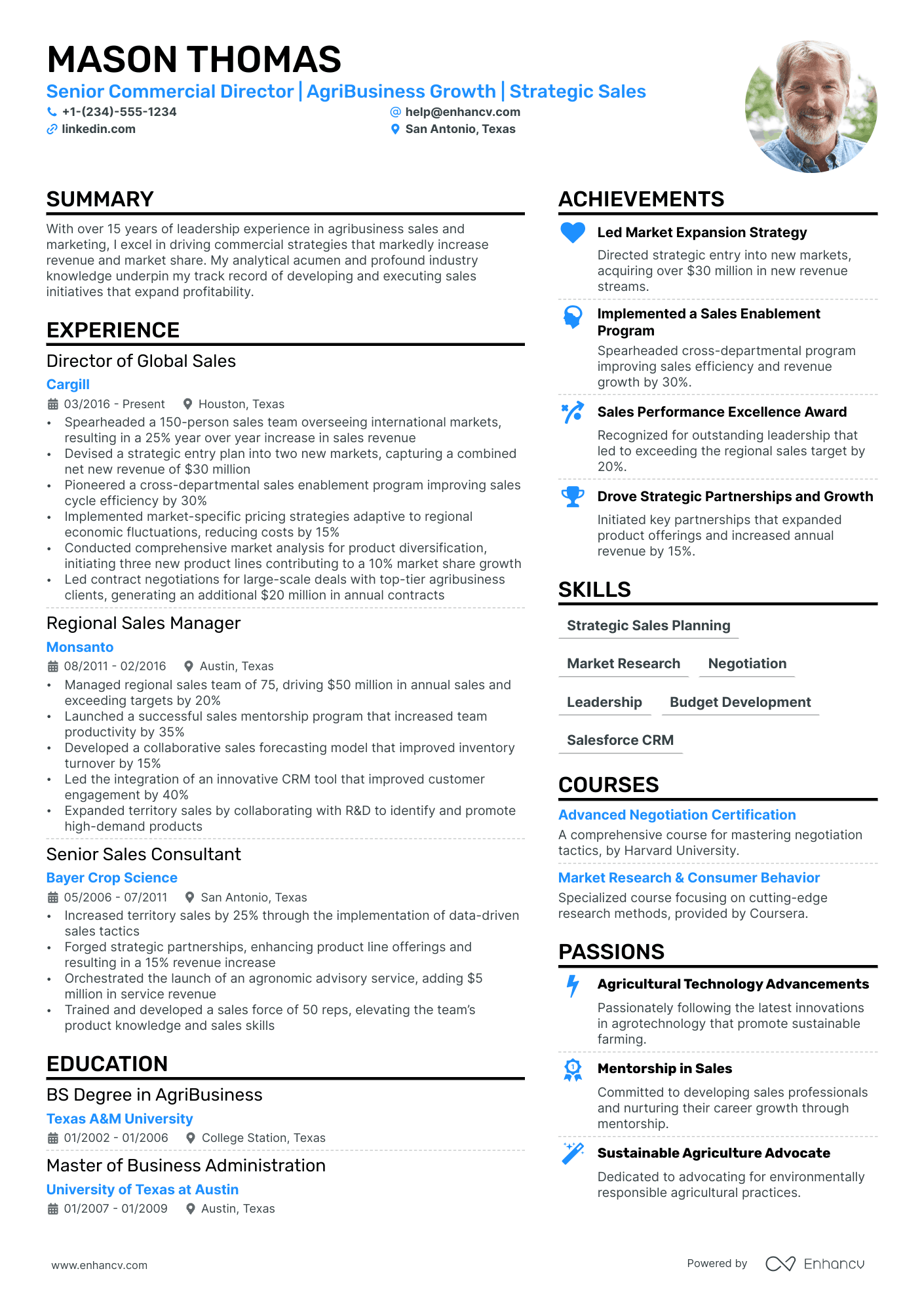 Commercial Director Resume Example