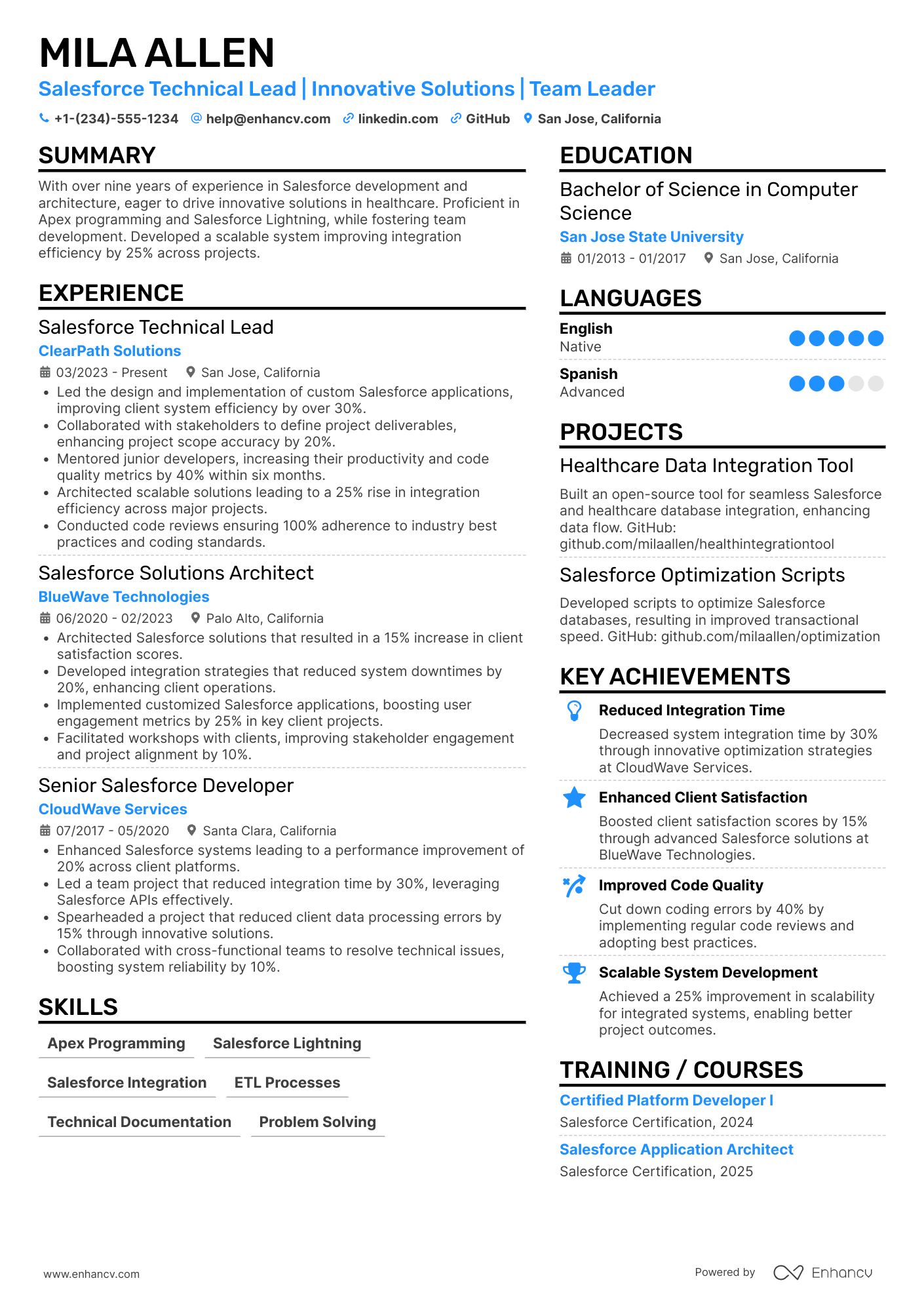 Salesforce Technical Lead Resume Example