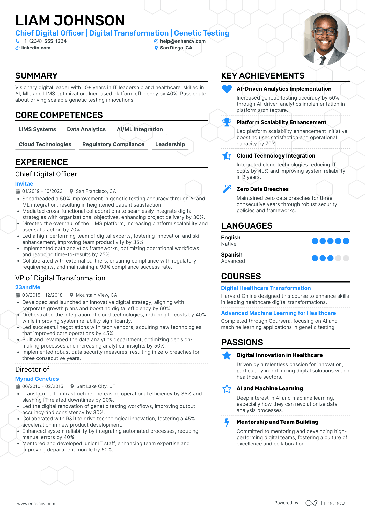 Chief Digital Officer Resume Example