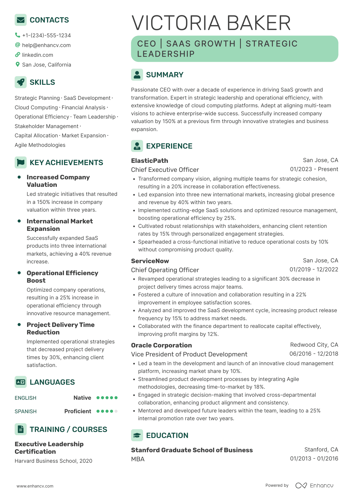 SaaS CEO Resume Example