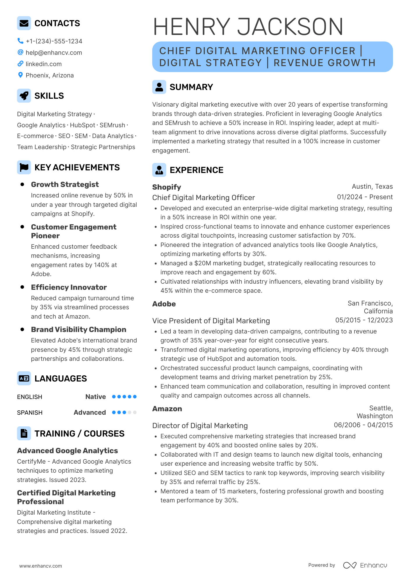 Chief Digital Marketing Officer Resume Example