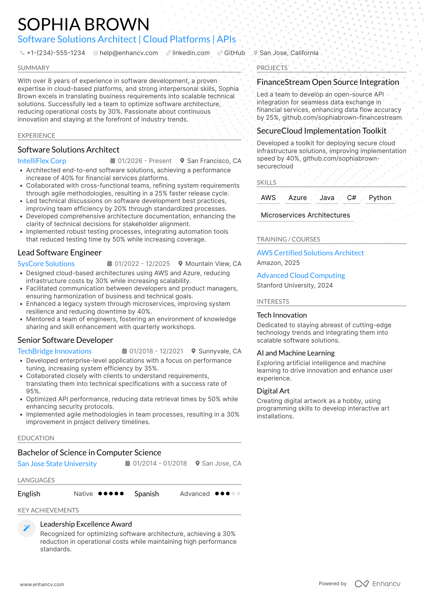 Software Solutions Architect Resume Example