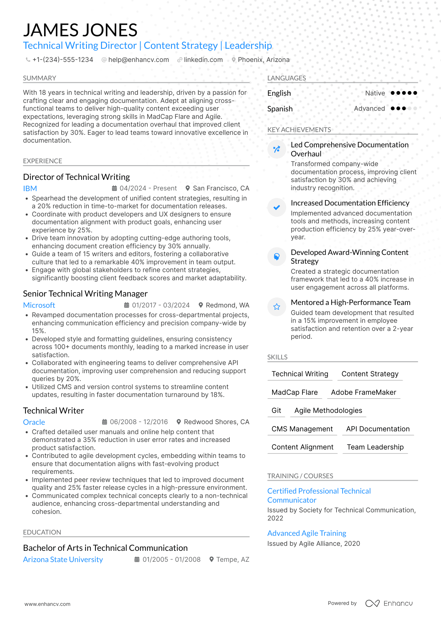 Technical Writing Director Resume Example