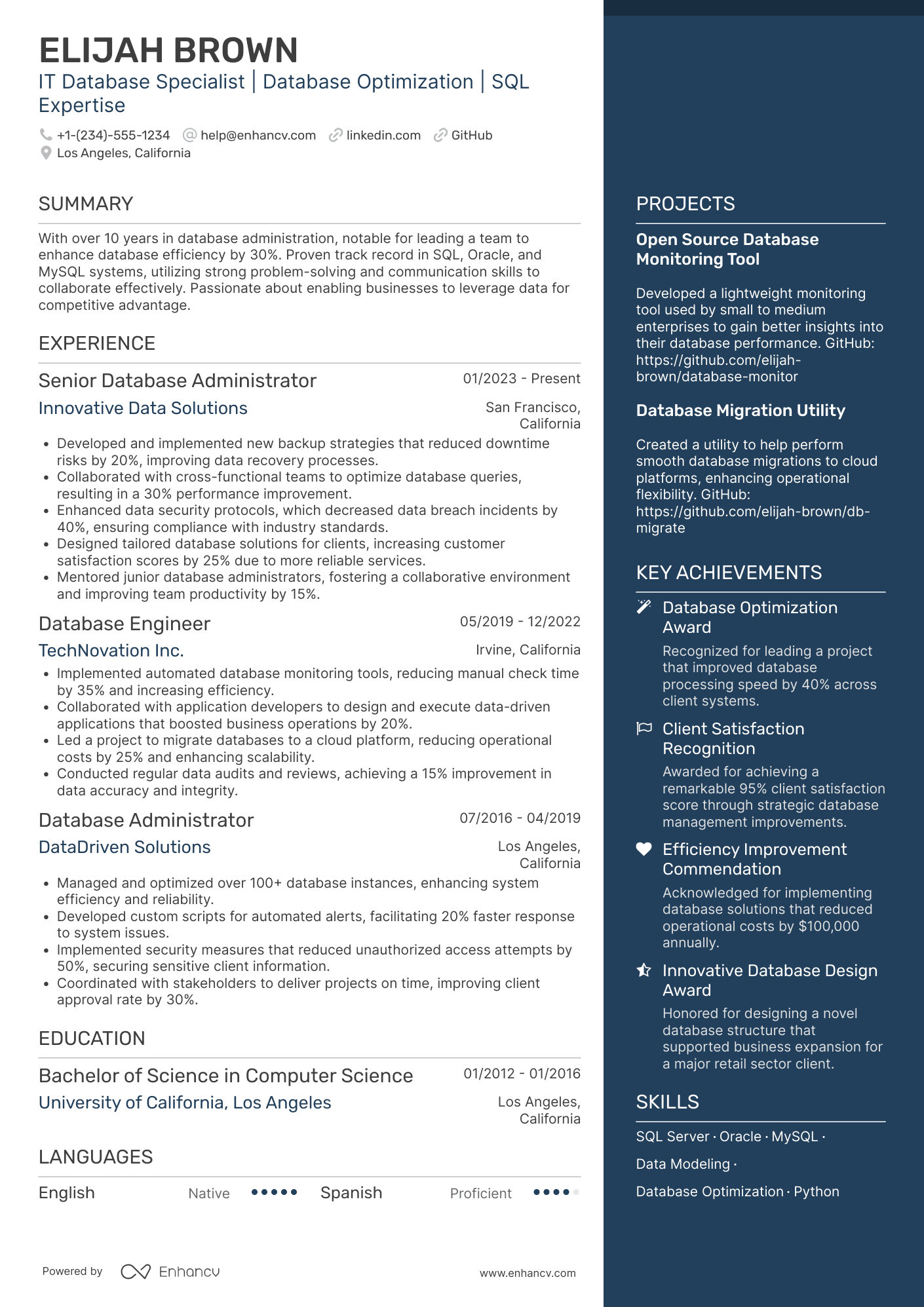 IT Database Specialist Resume Example