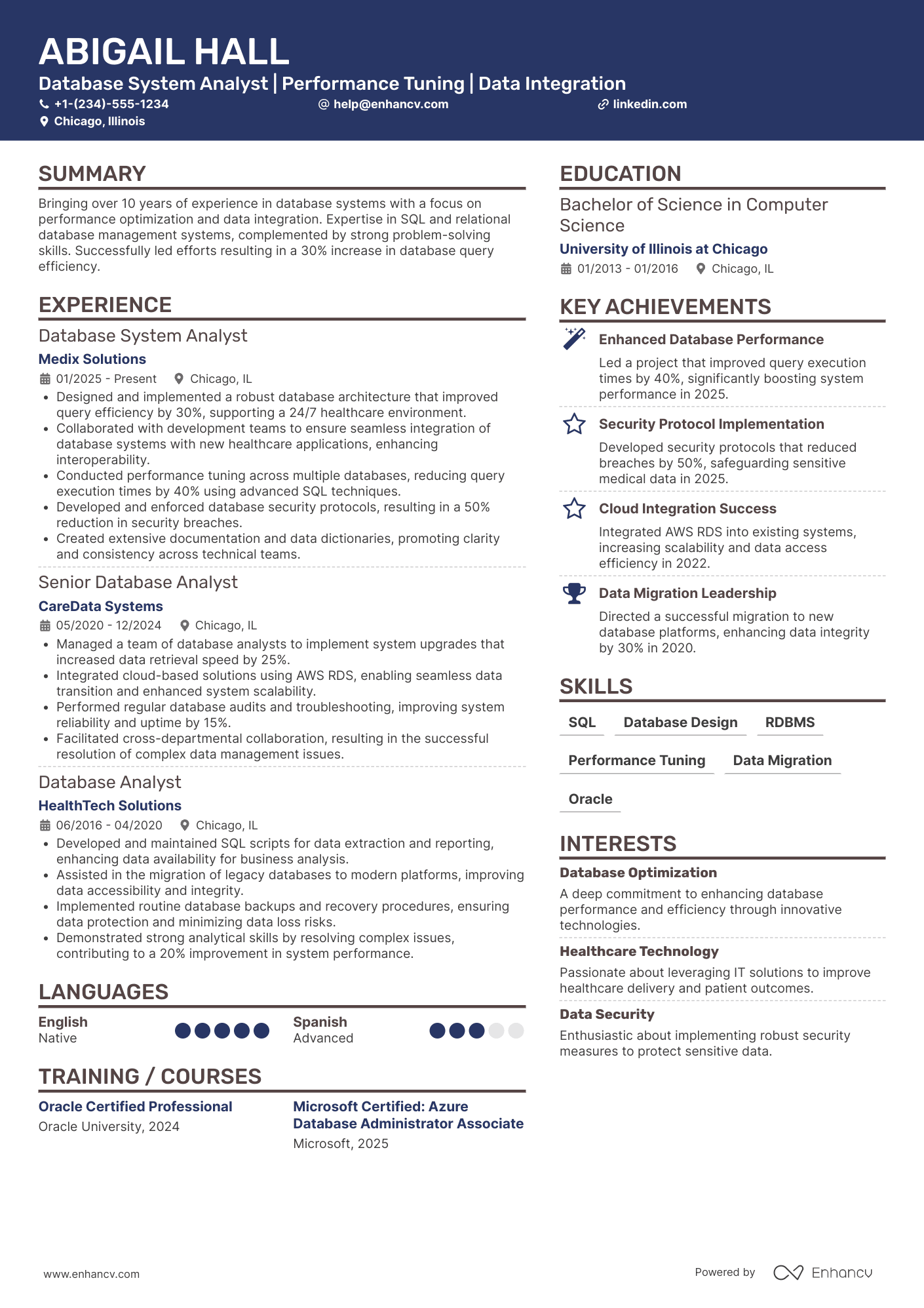 Database System Analyst Resume Example