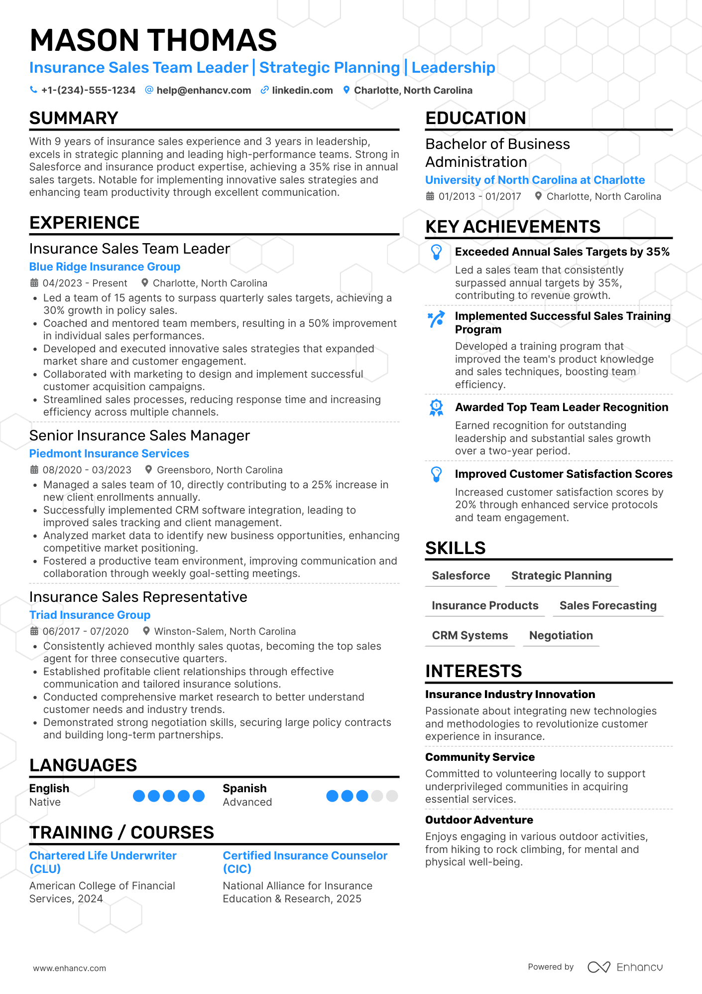 Insurance Sales Team Leader Resume Example