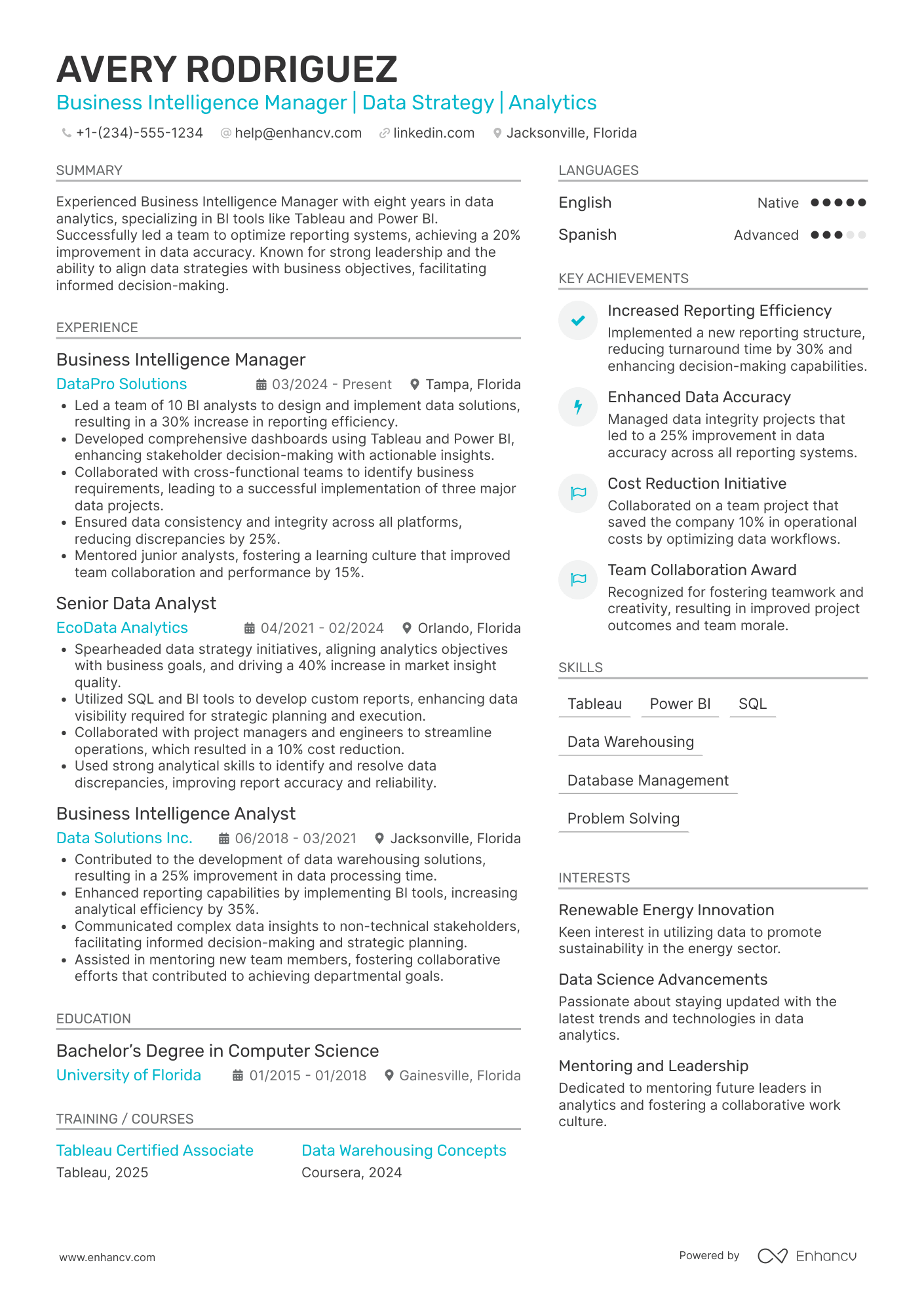 Business Intelligence Manager Resume Example