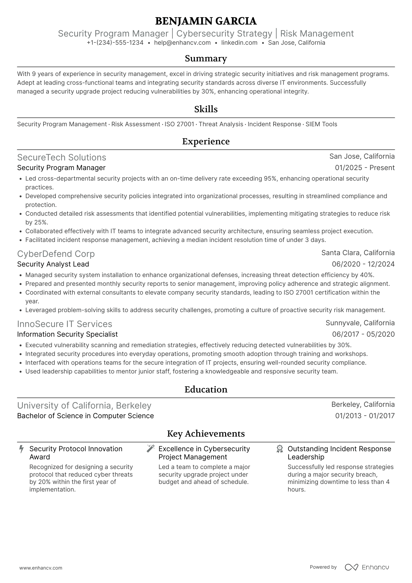 Security Program Manager Resume Example