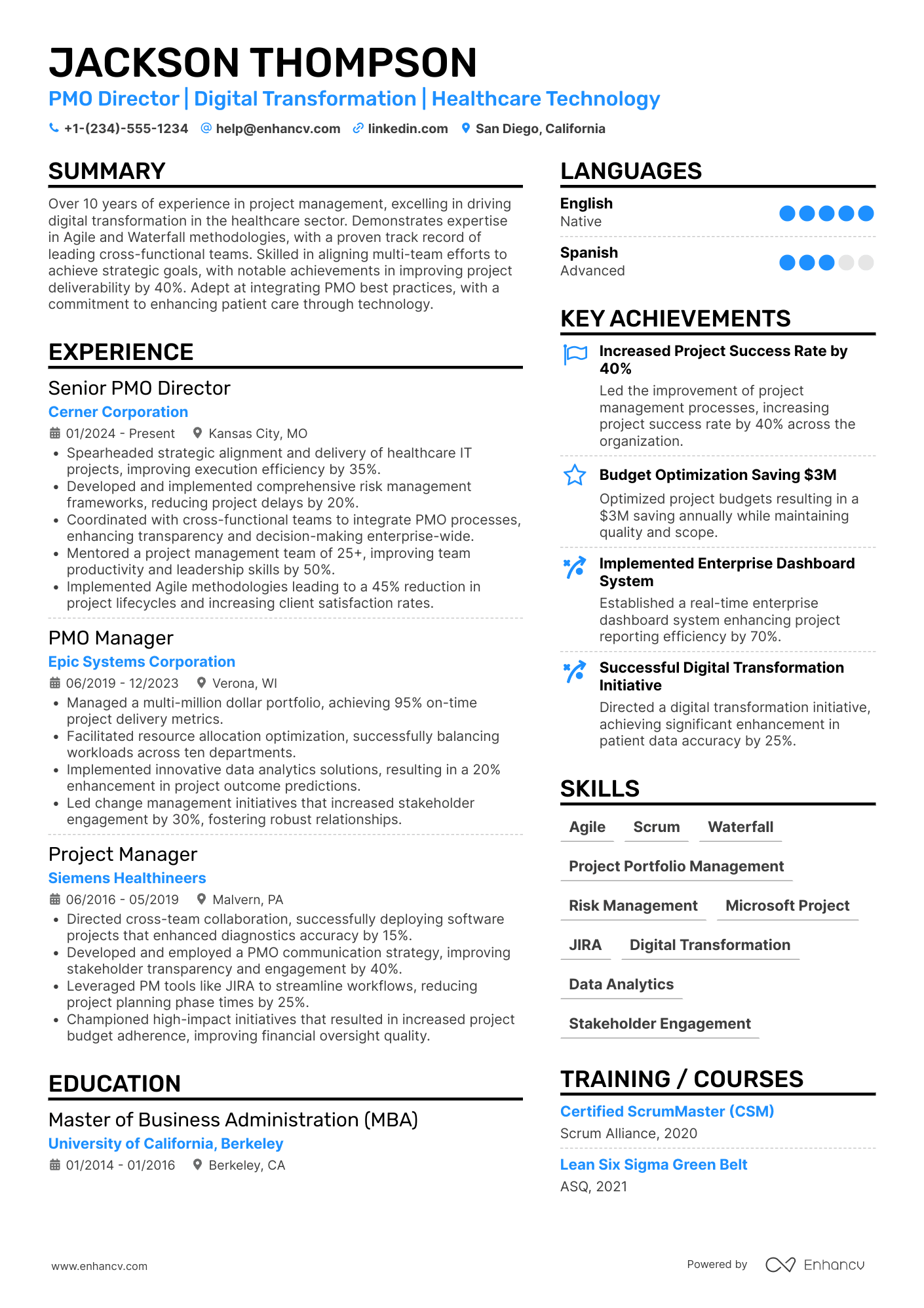 PMO Director Resume Example