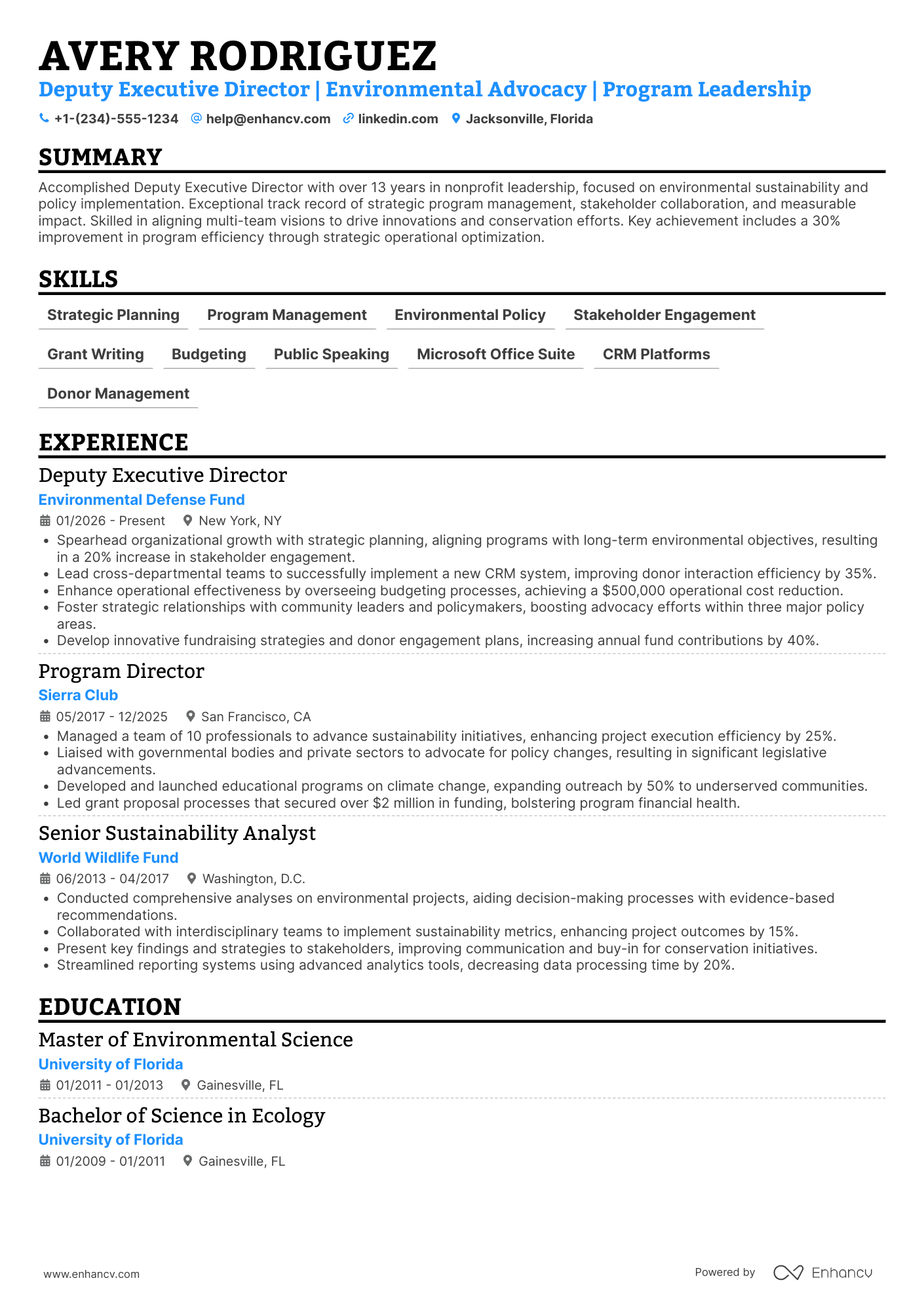 Deputy Executive Director Resume Example