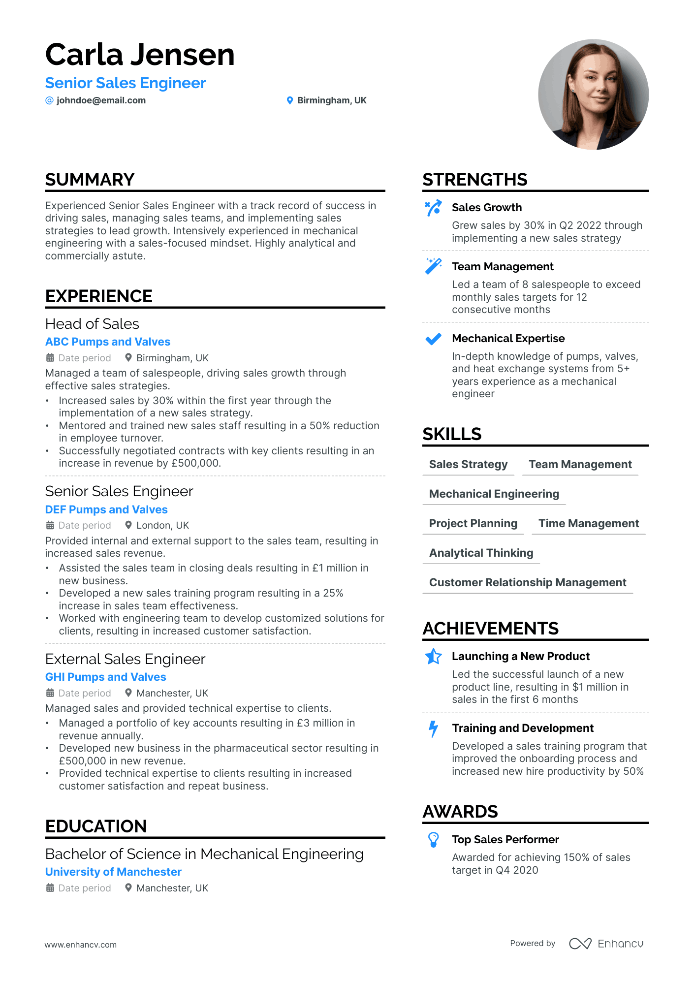 Senior Sales Engineer Resume Example