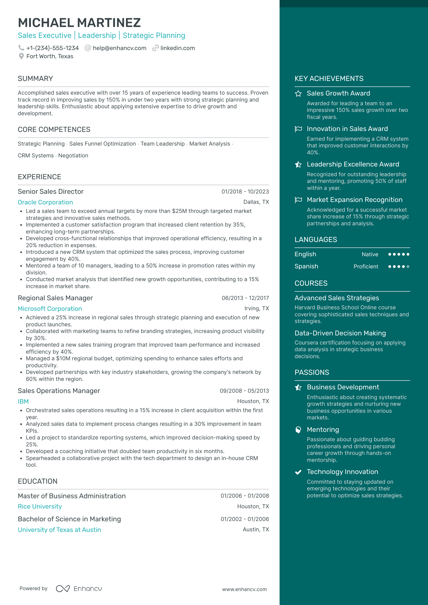 Deputy Chief Revenue Officer Resume Example