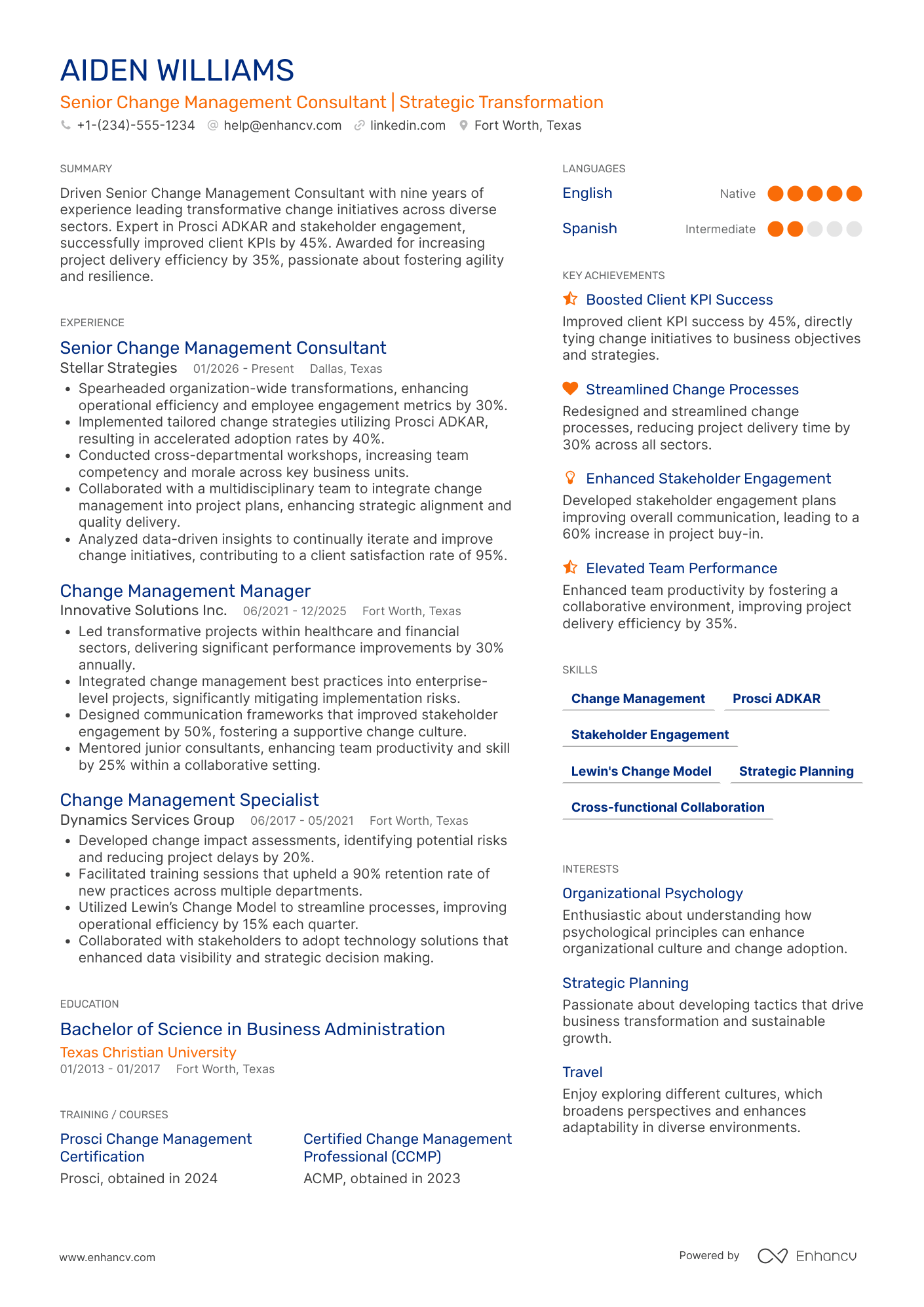 Senior Change Management Consultant Resume Example