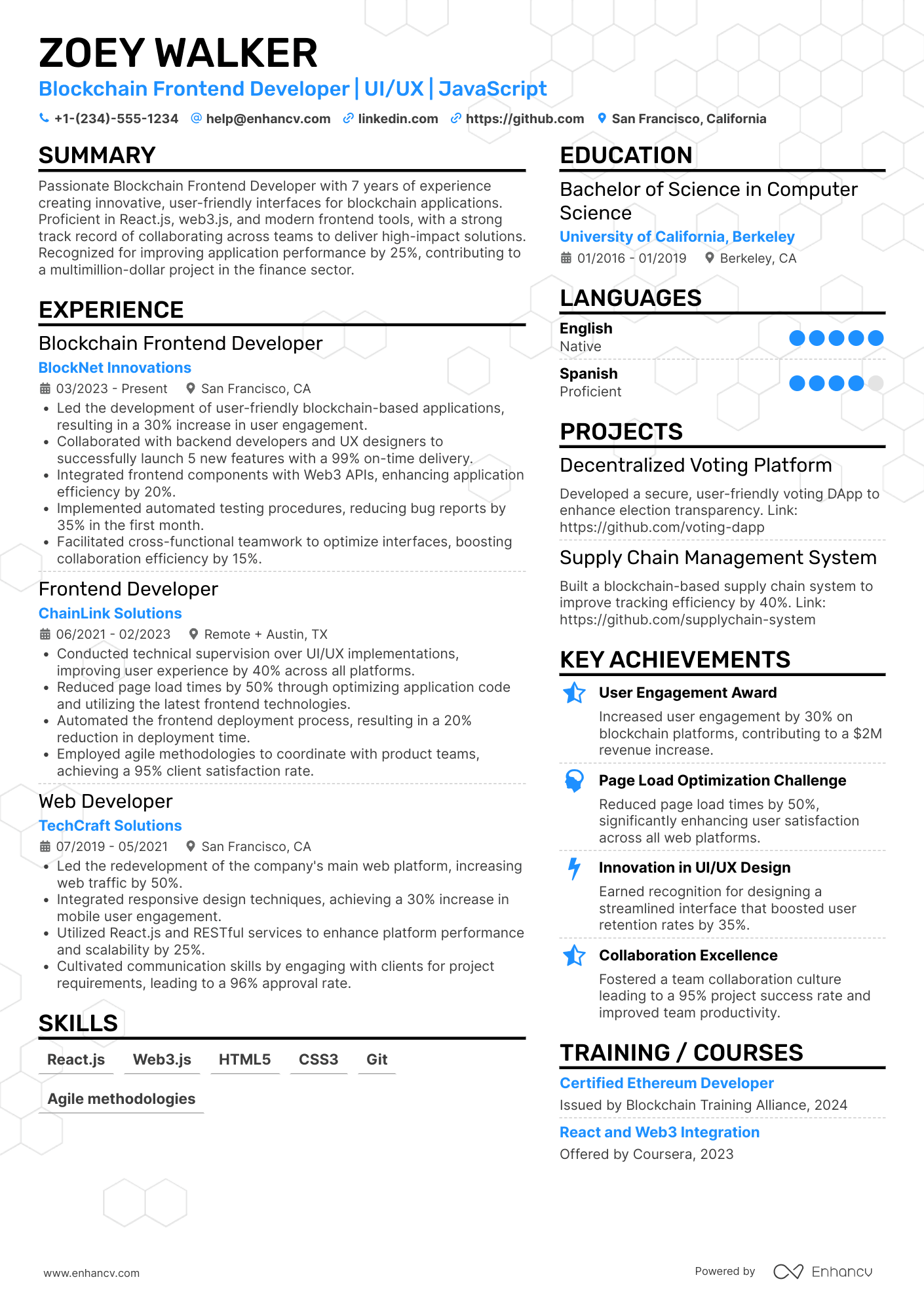 Blockchain Frontend Developer Resume Example