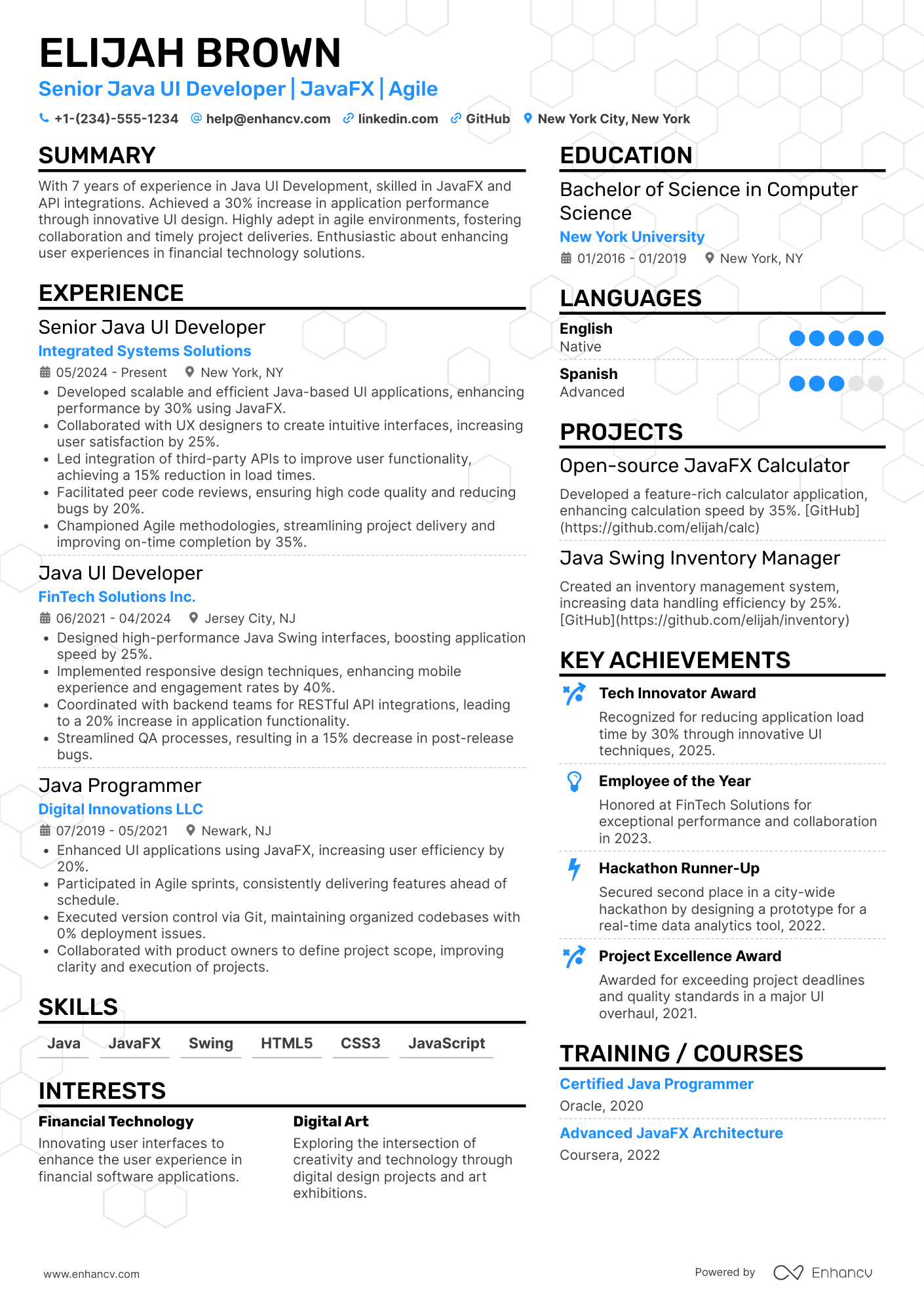Java UI Developer Resume Example