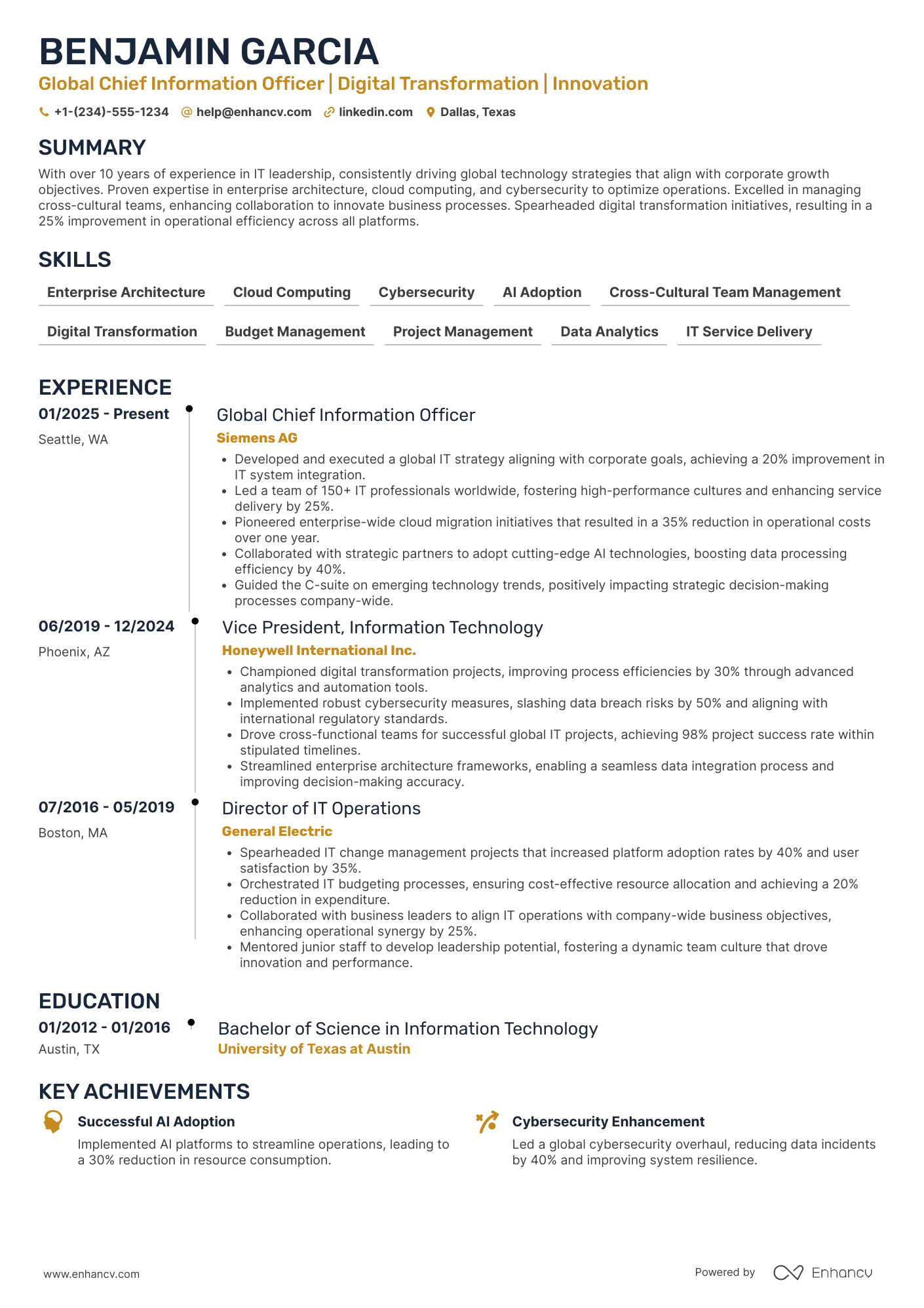 Global Chief Information Officer Resume Example