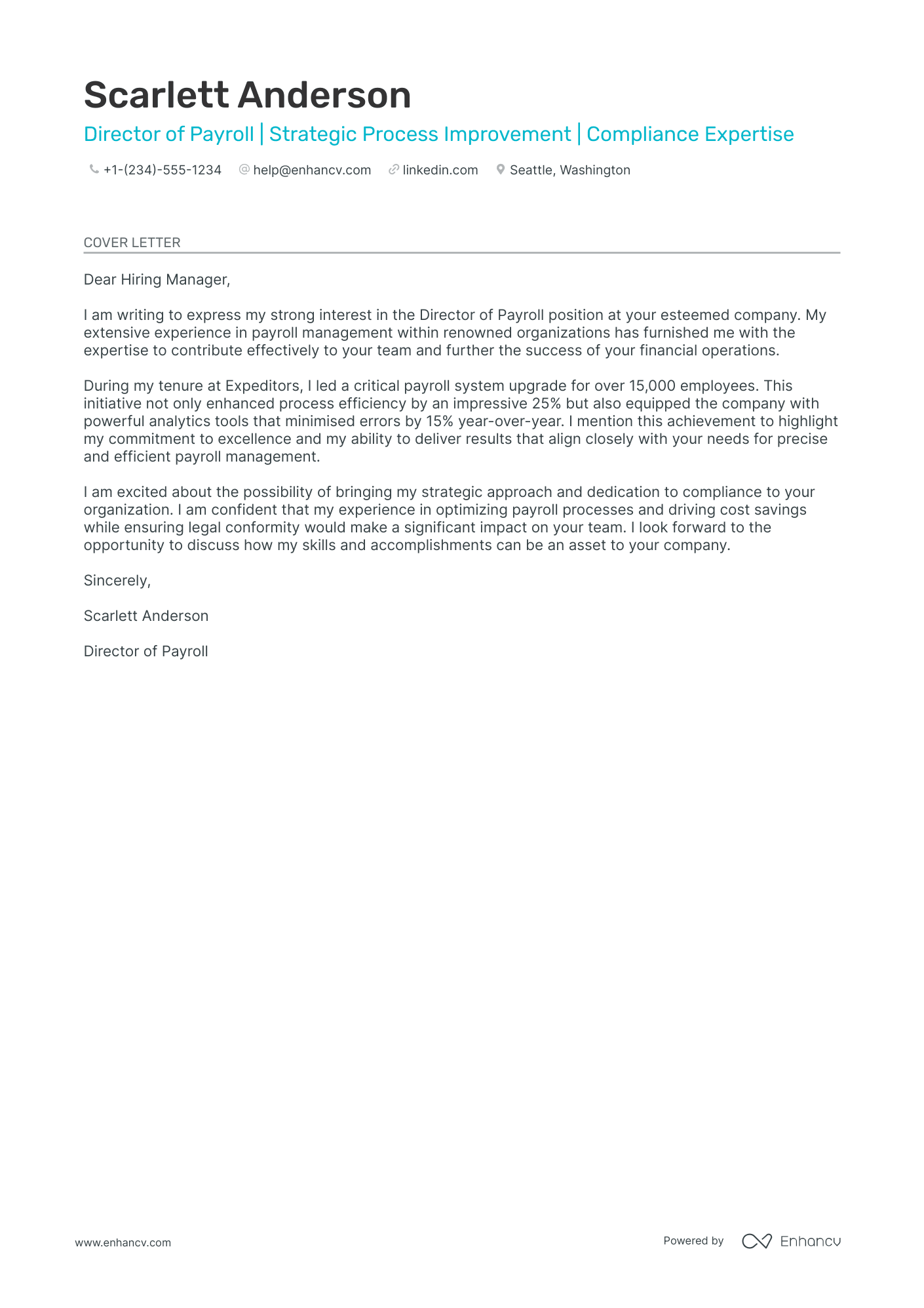 Payroll Director Resume Example