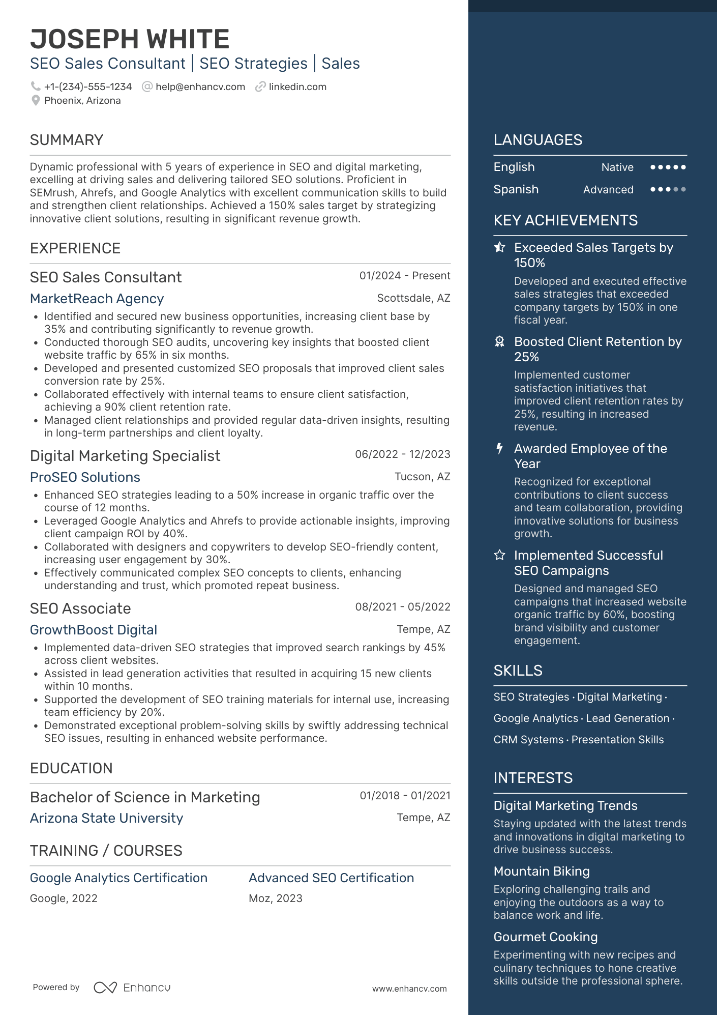 SEO Sales Consultant Resume Example