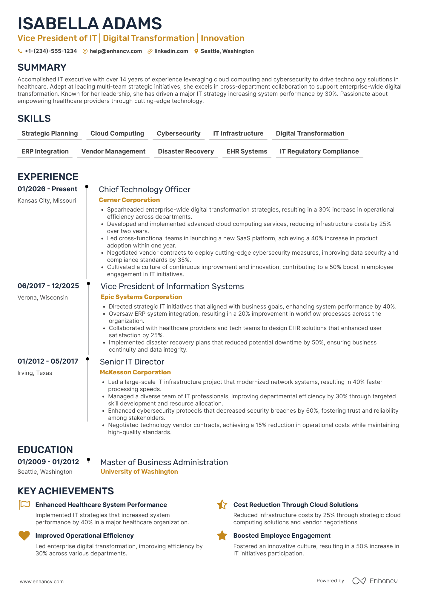 Vice President of Information Technology Resume Example