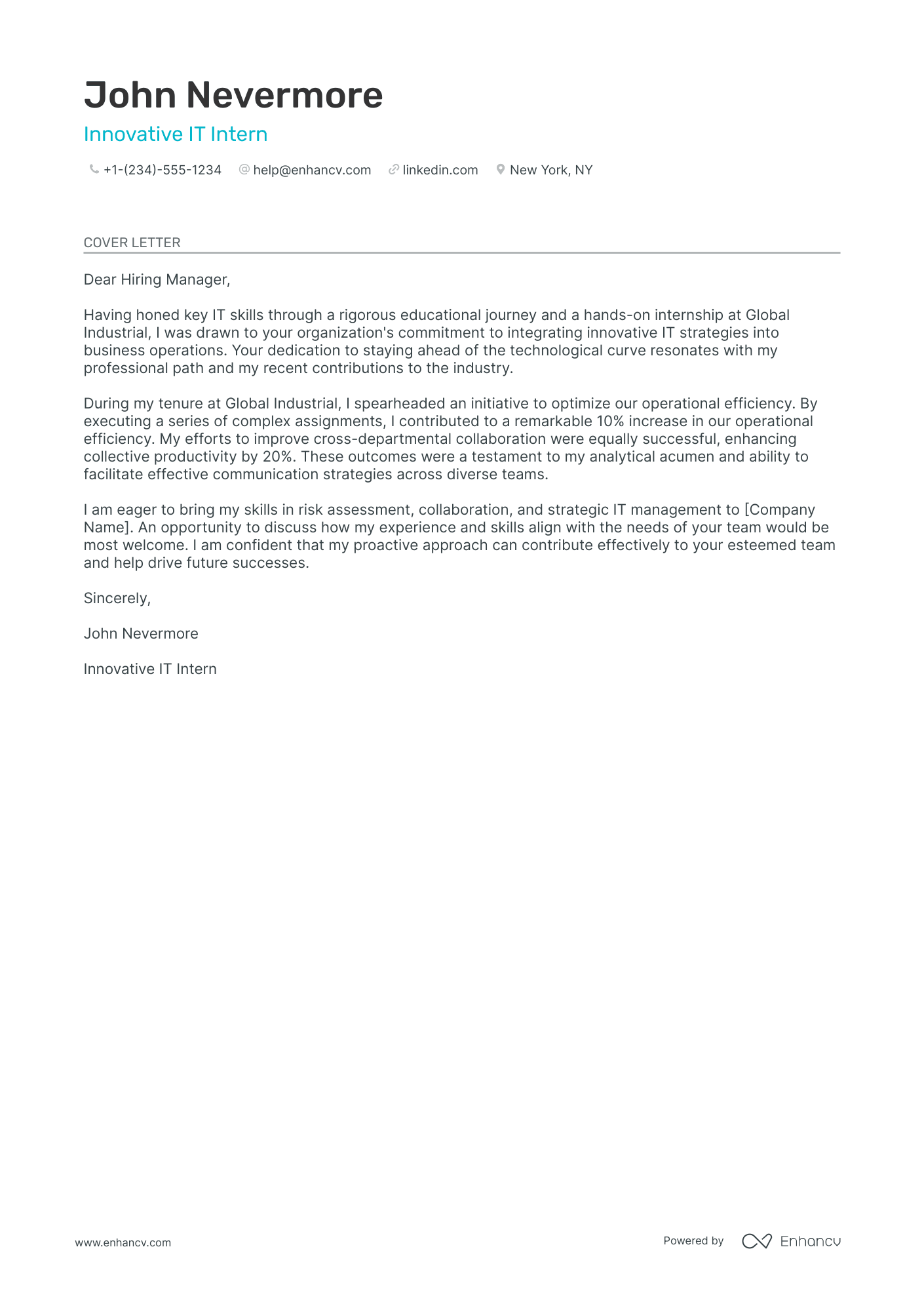 IT Intern Resume Example