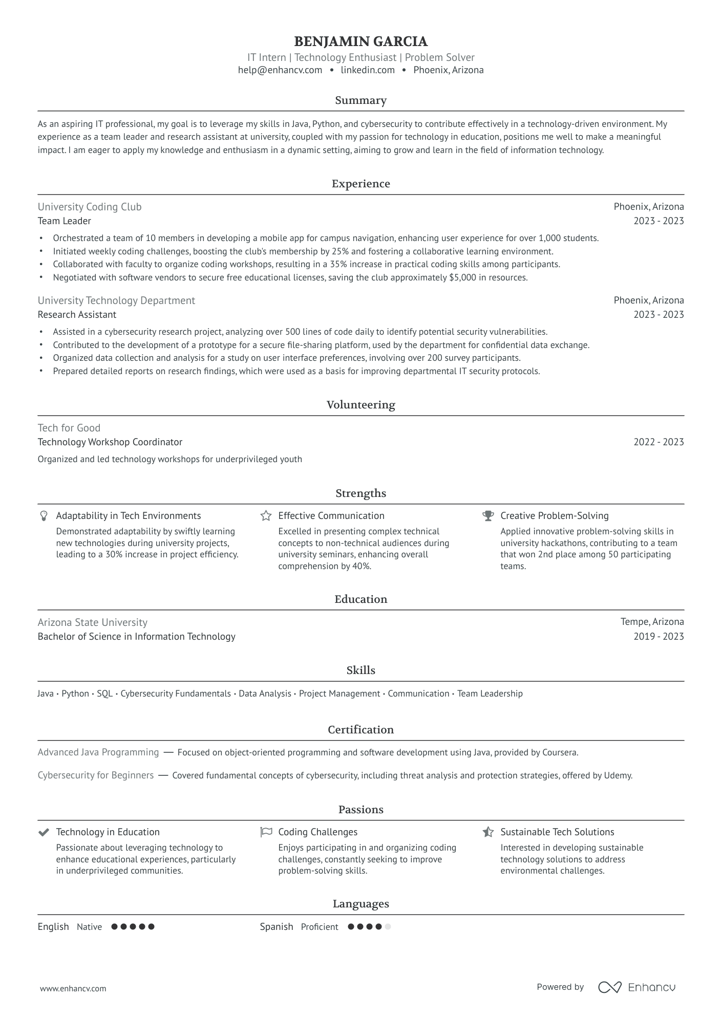 IT Intern Resume Example