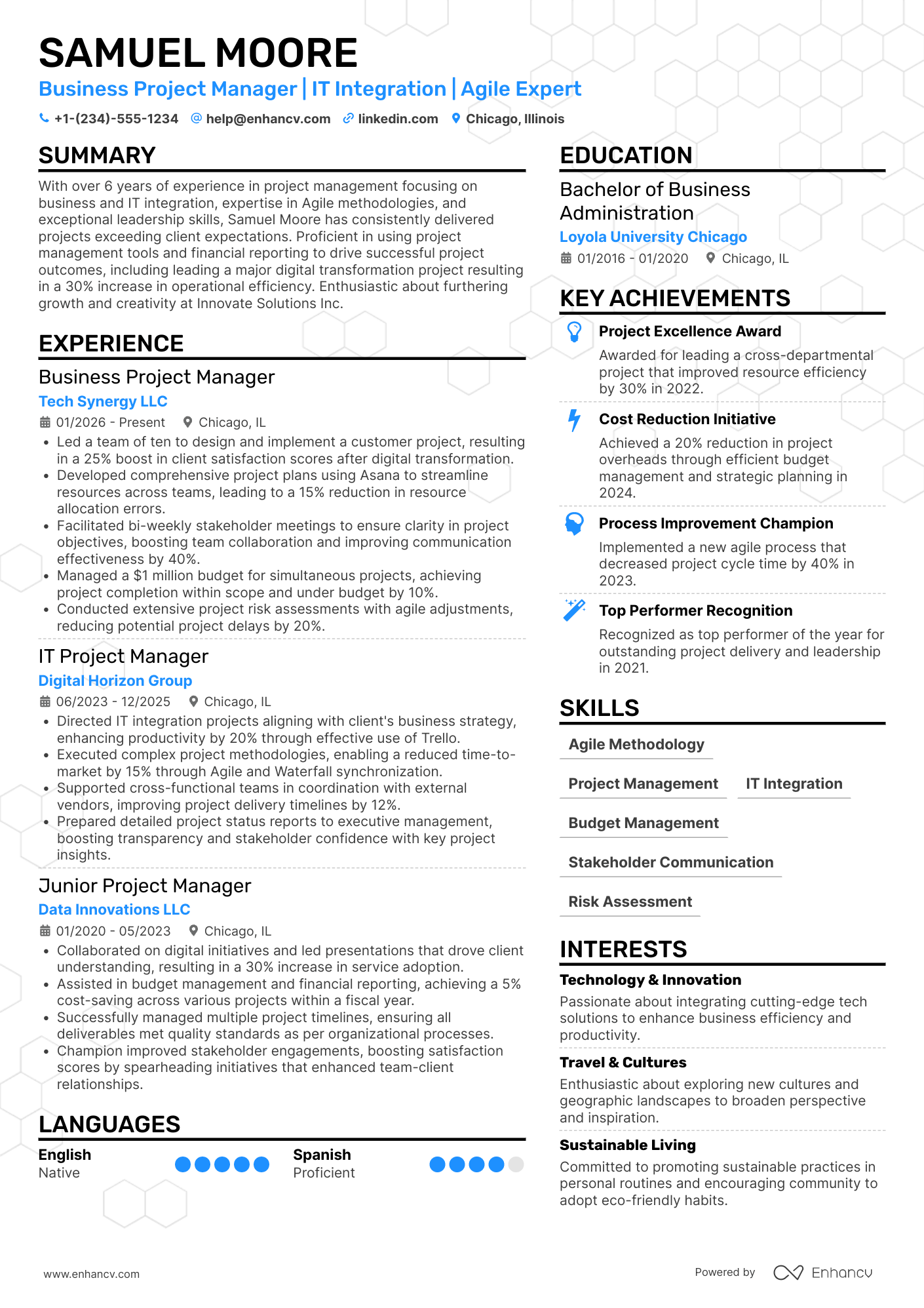 Business Project Manager Resume Example