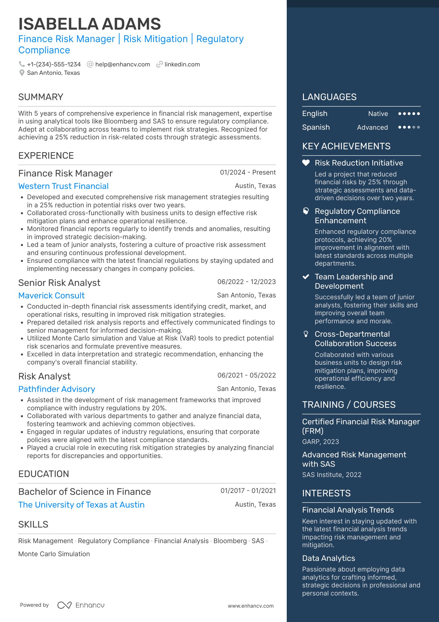 Finance Risk Manager Resume Example