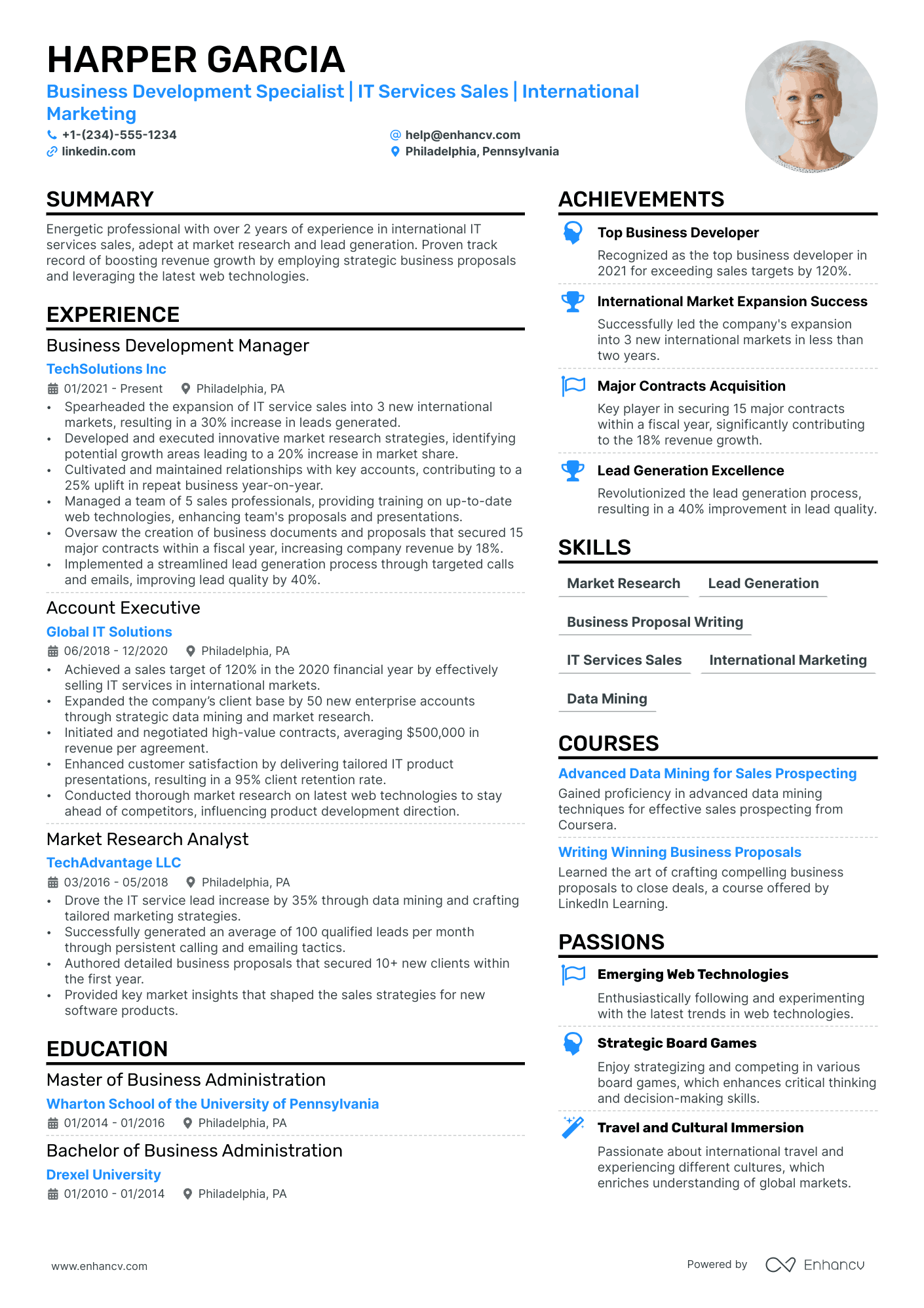 Business Development Executive Resume Example