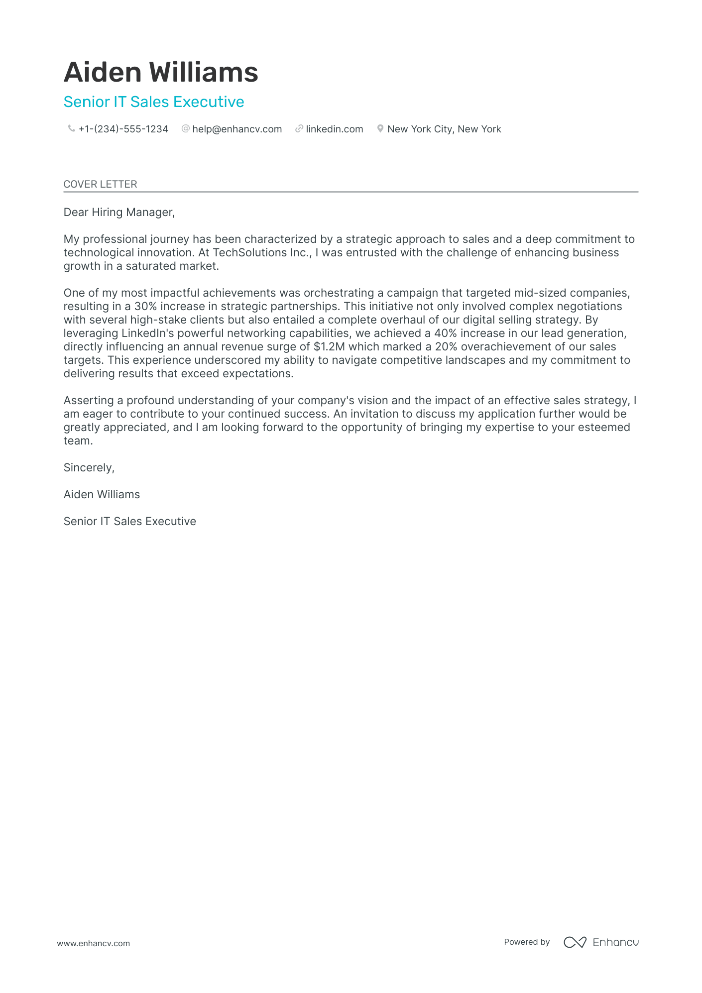 IT Sales Executive Resume Example
