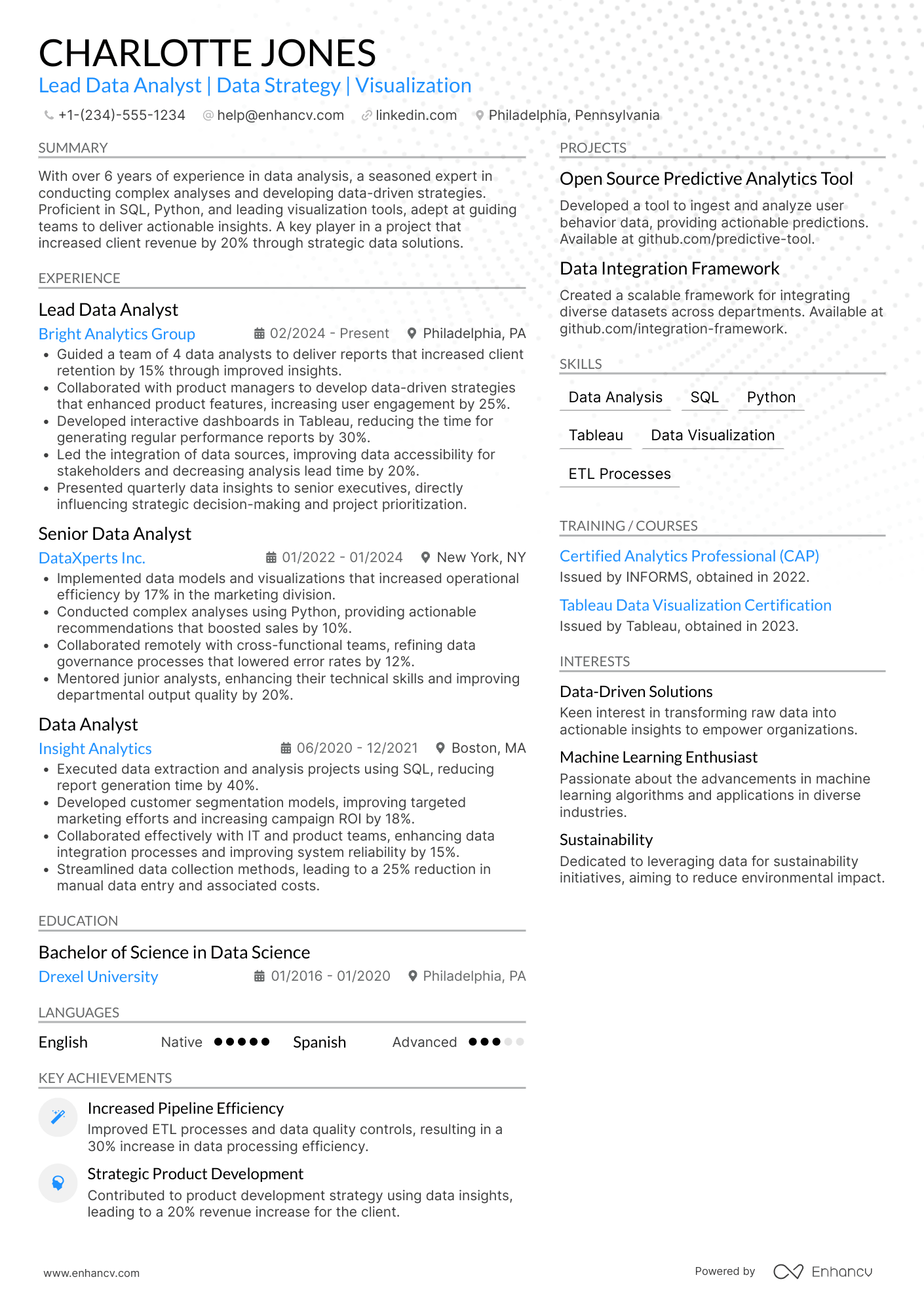 Lead Data Analyst Resume Example